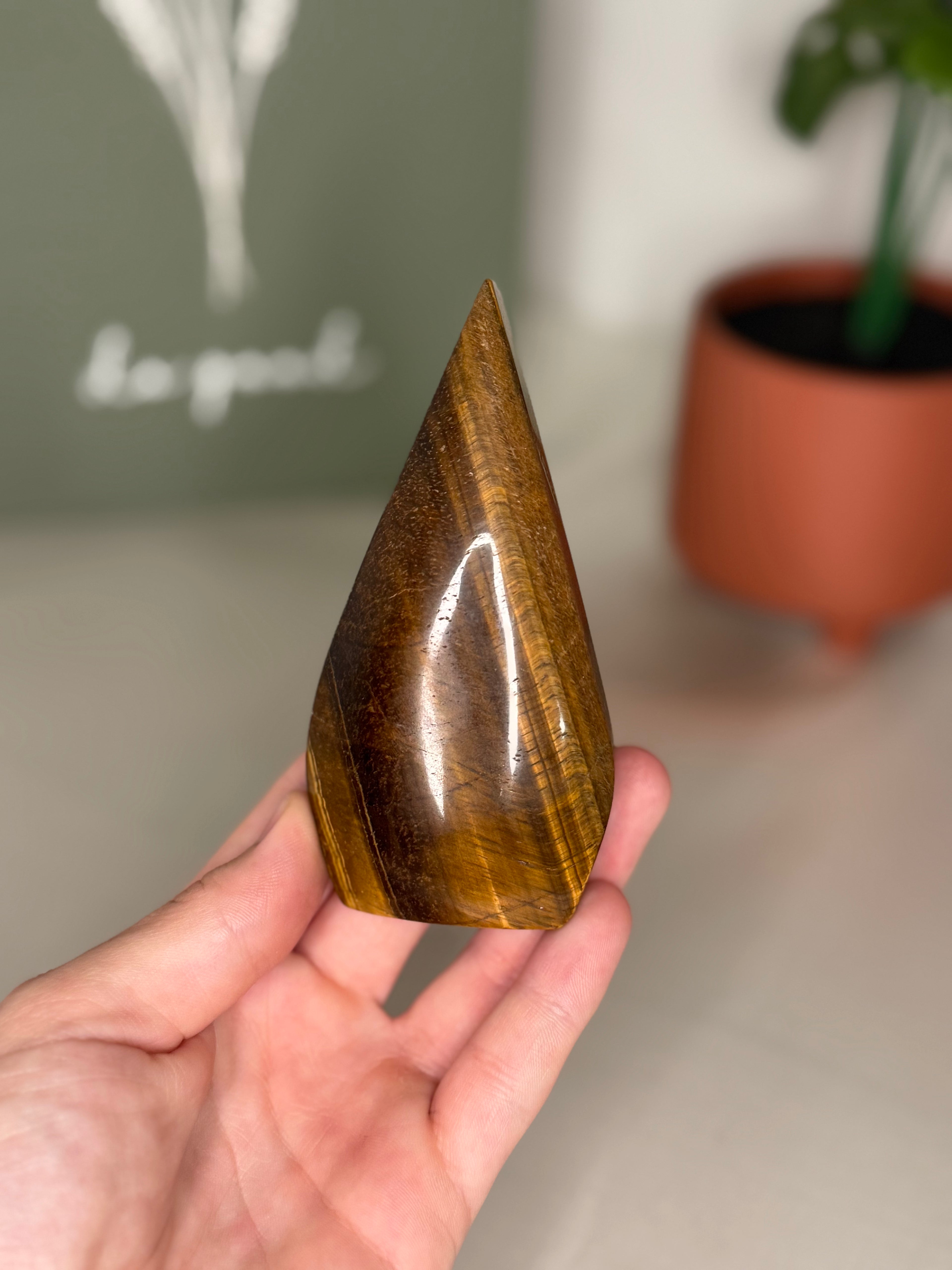 Tigers eye portal