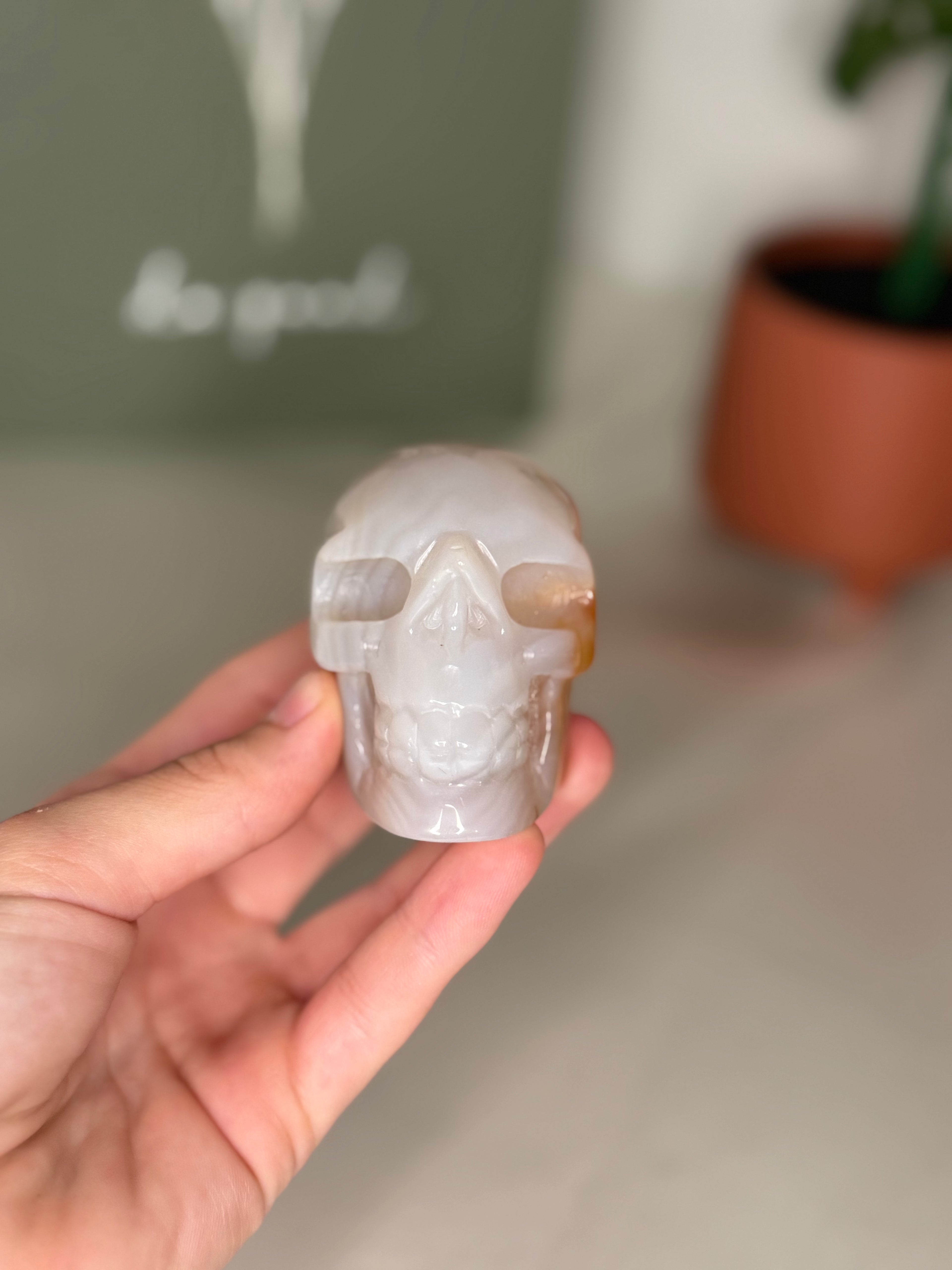 Druzy agate skull