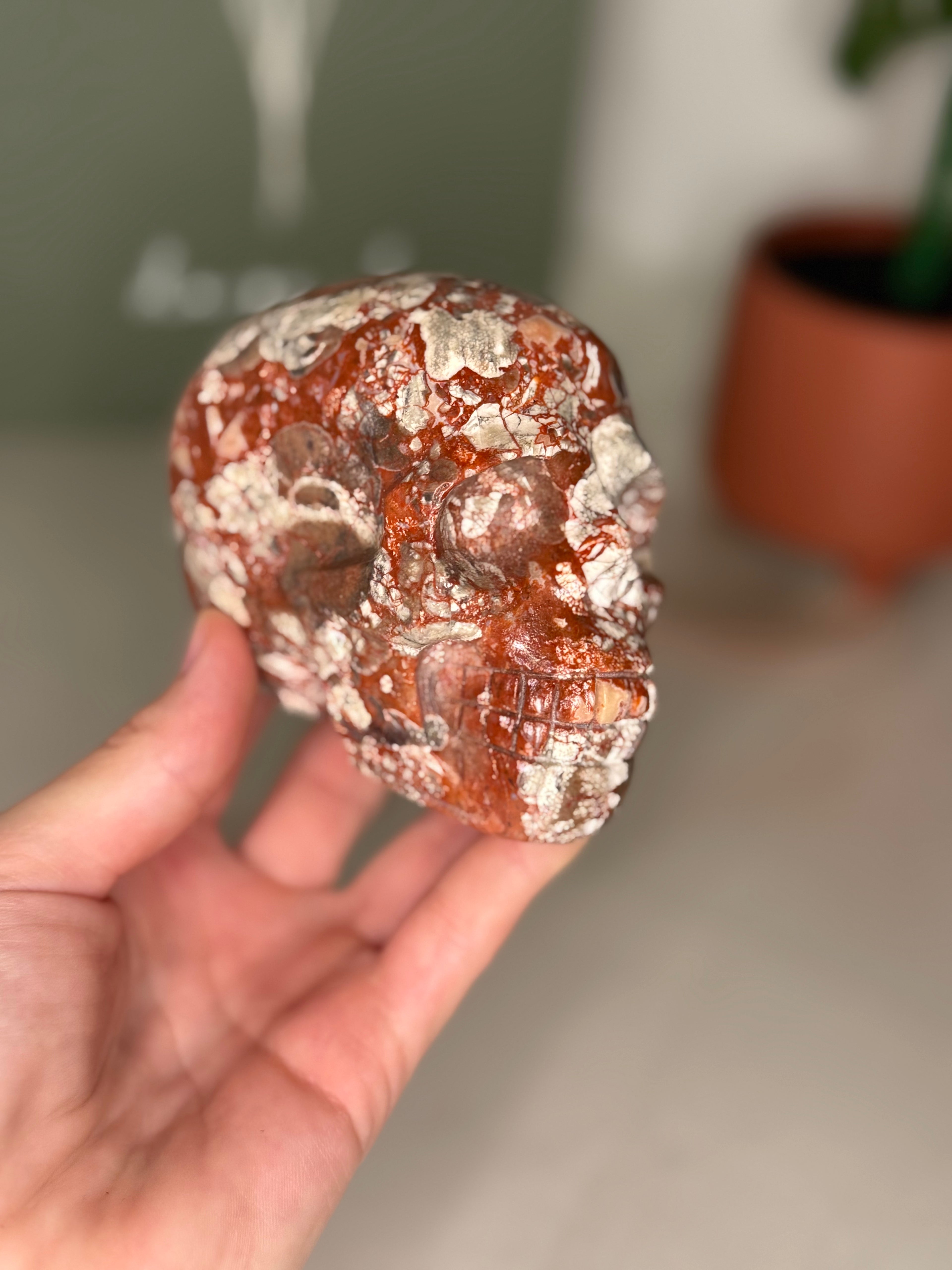 Money agate skull
