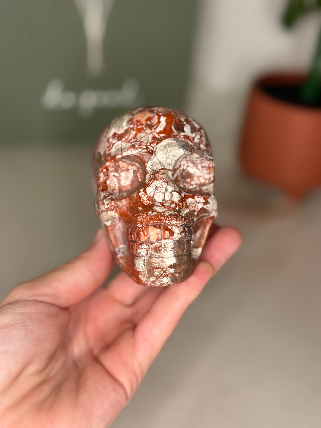 Money agate skull