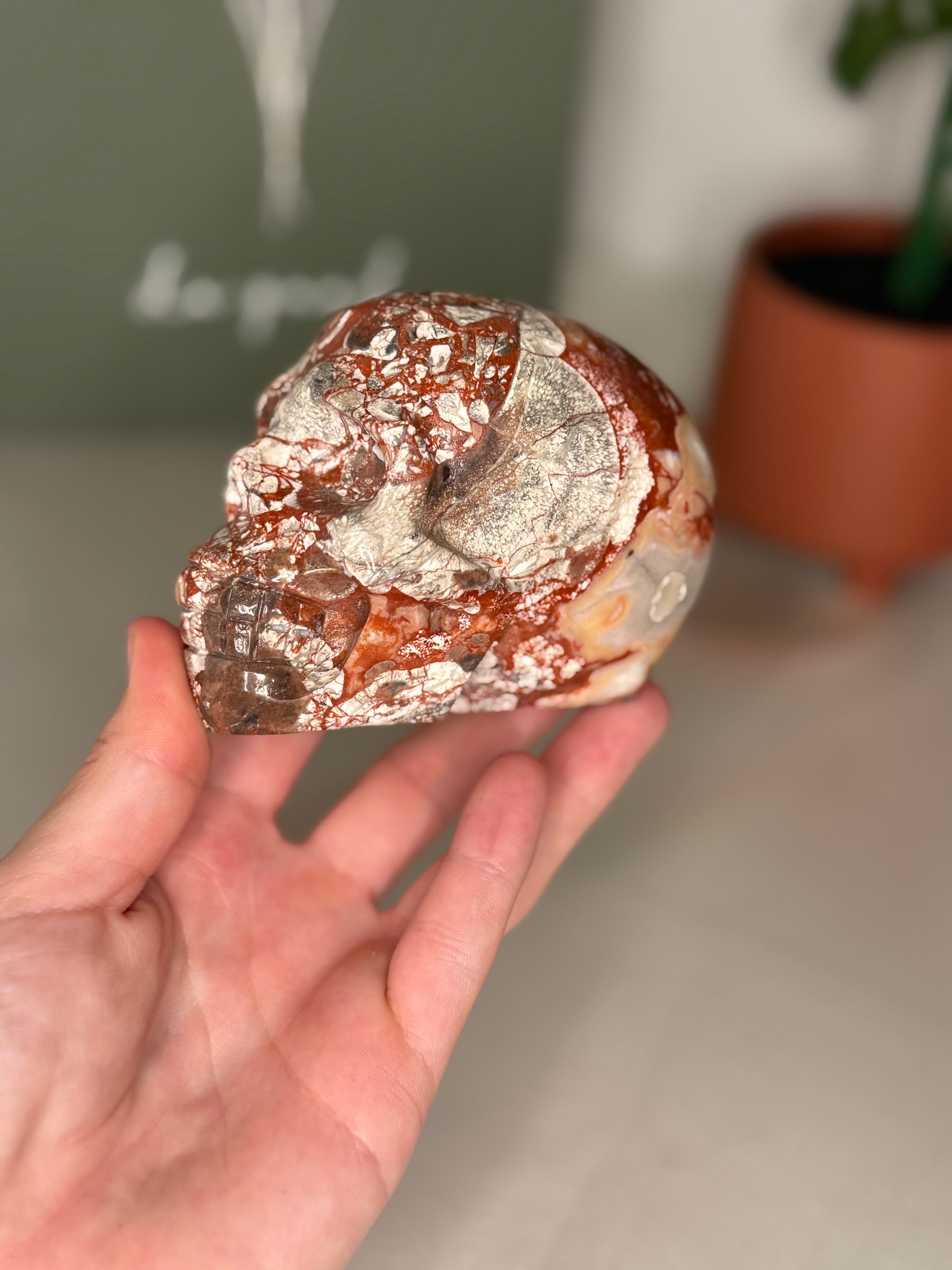 Money agate skull