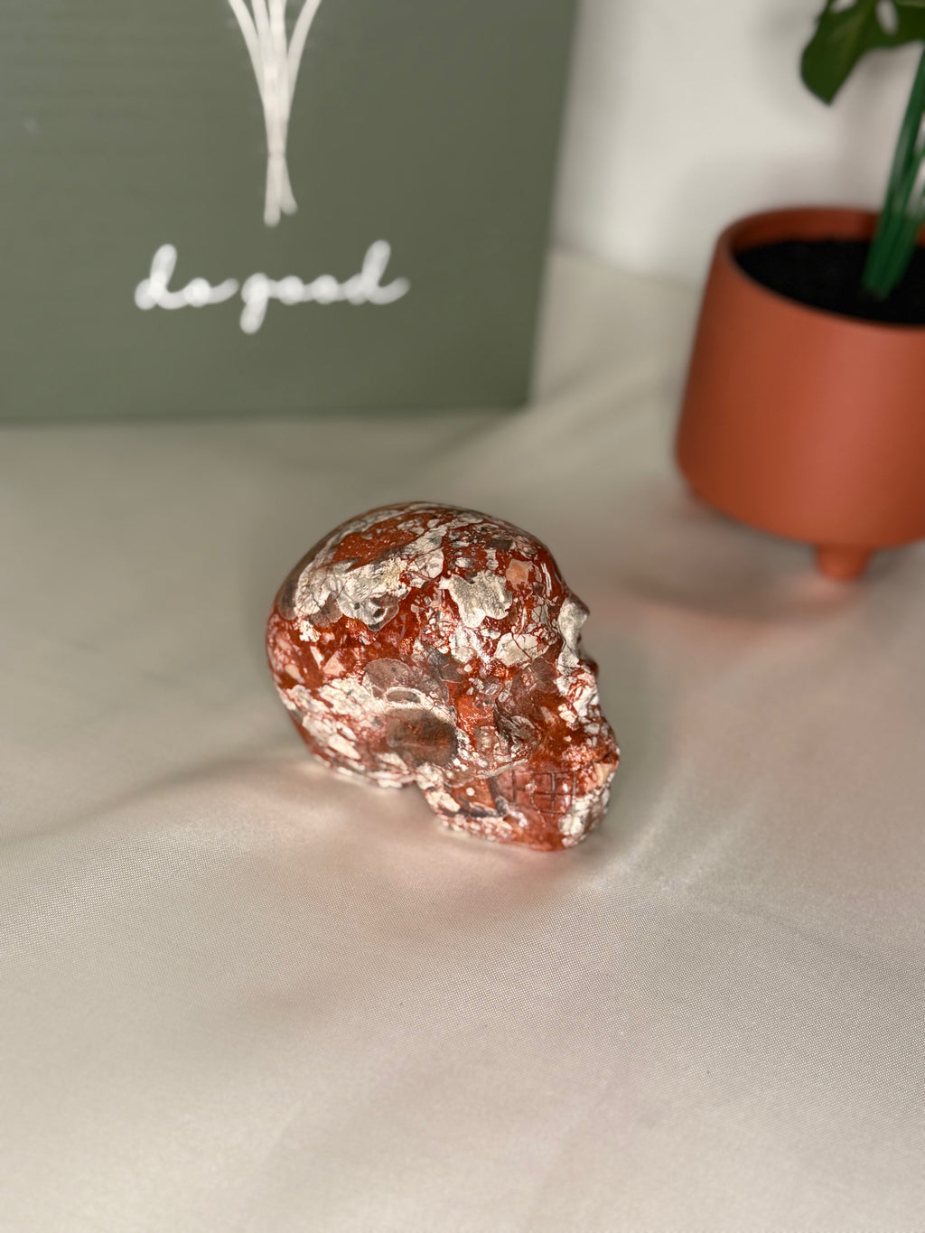 Money agate skull
