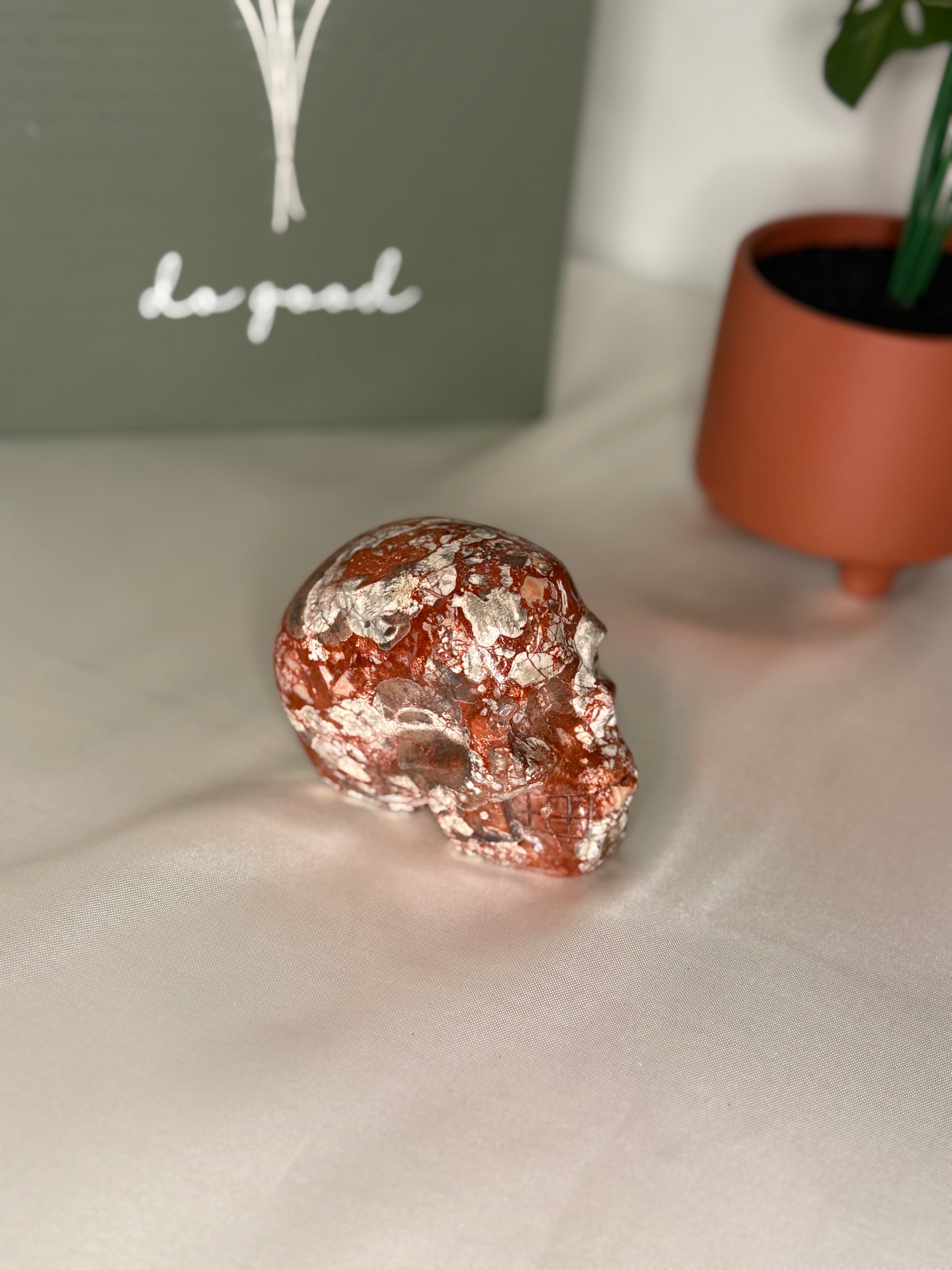 Money agate skull