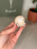 Crazy lace sphere