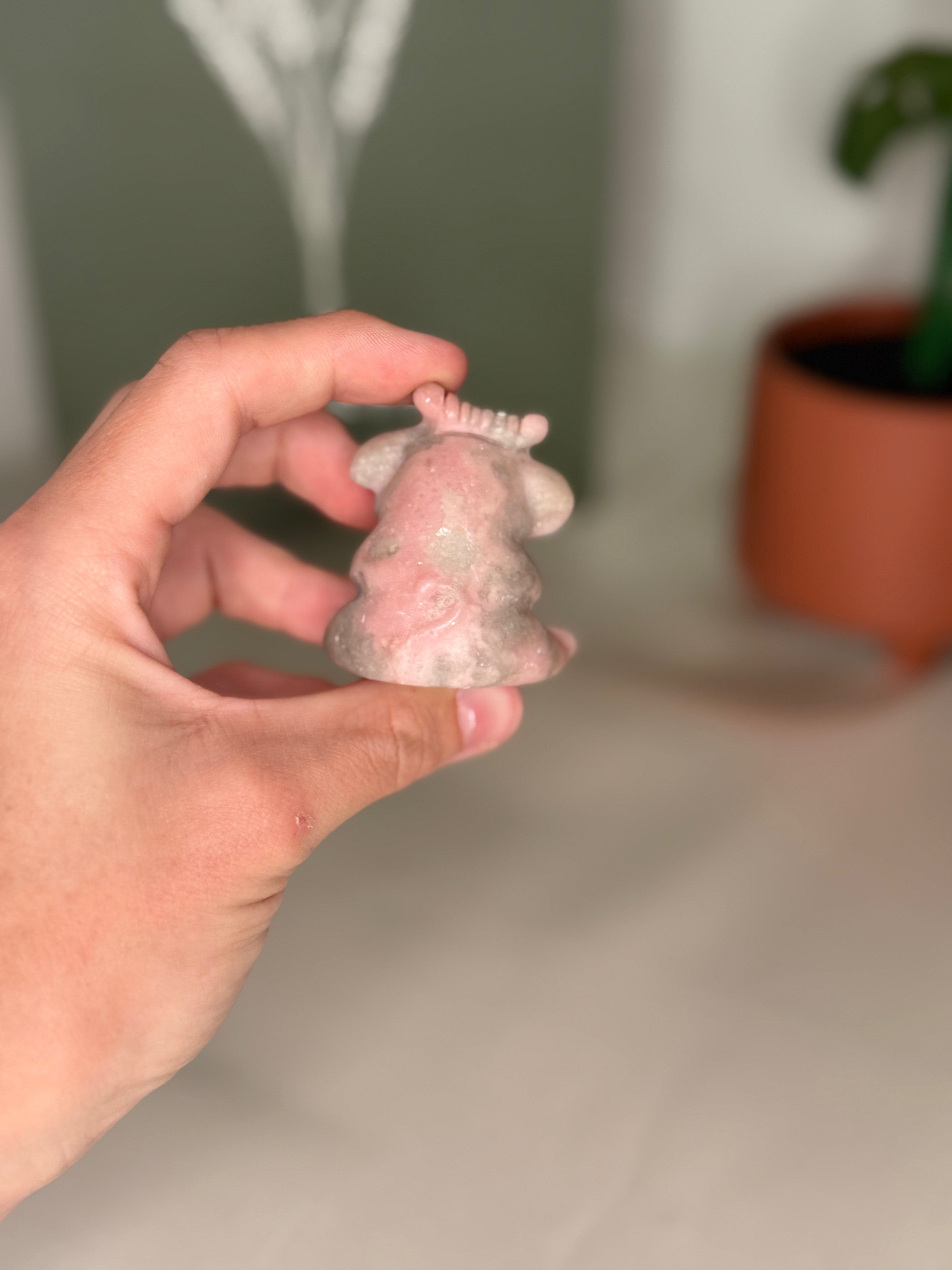 Pink opal cow