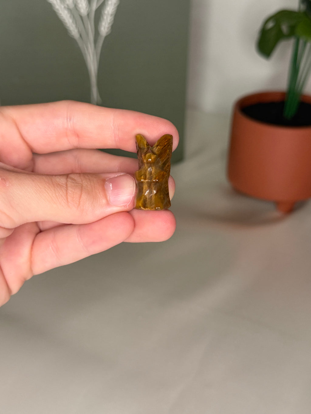 Tigers eye fairy