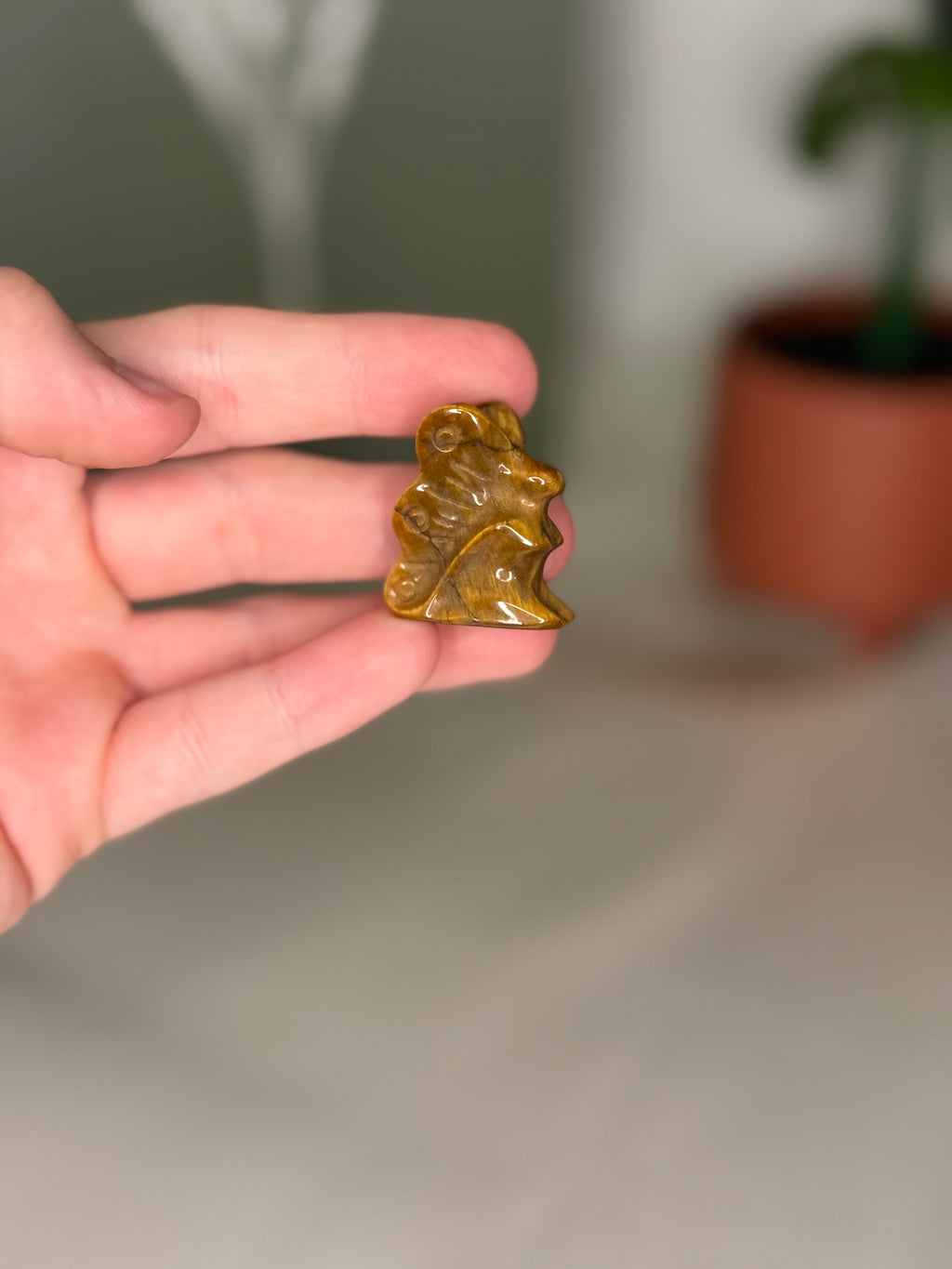 Tigers eye fairy