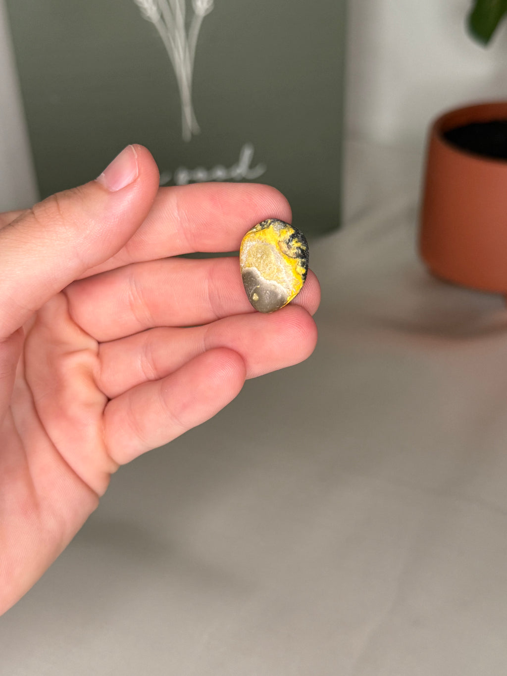 Bumblebee jasper tumble