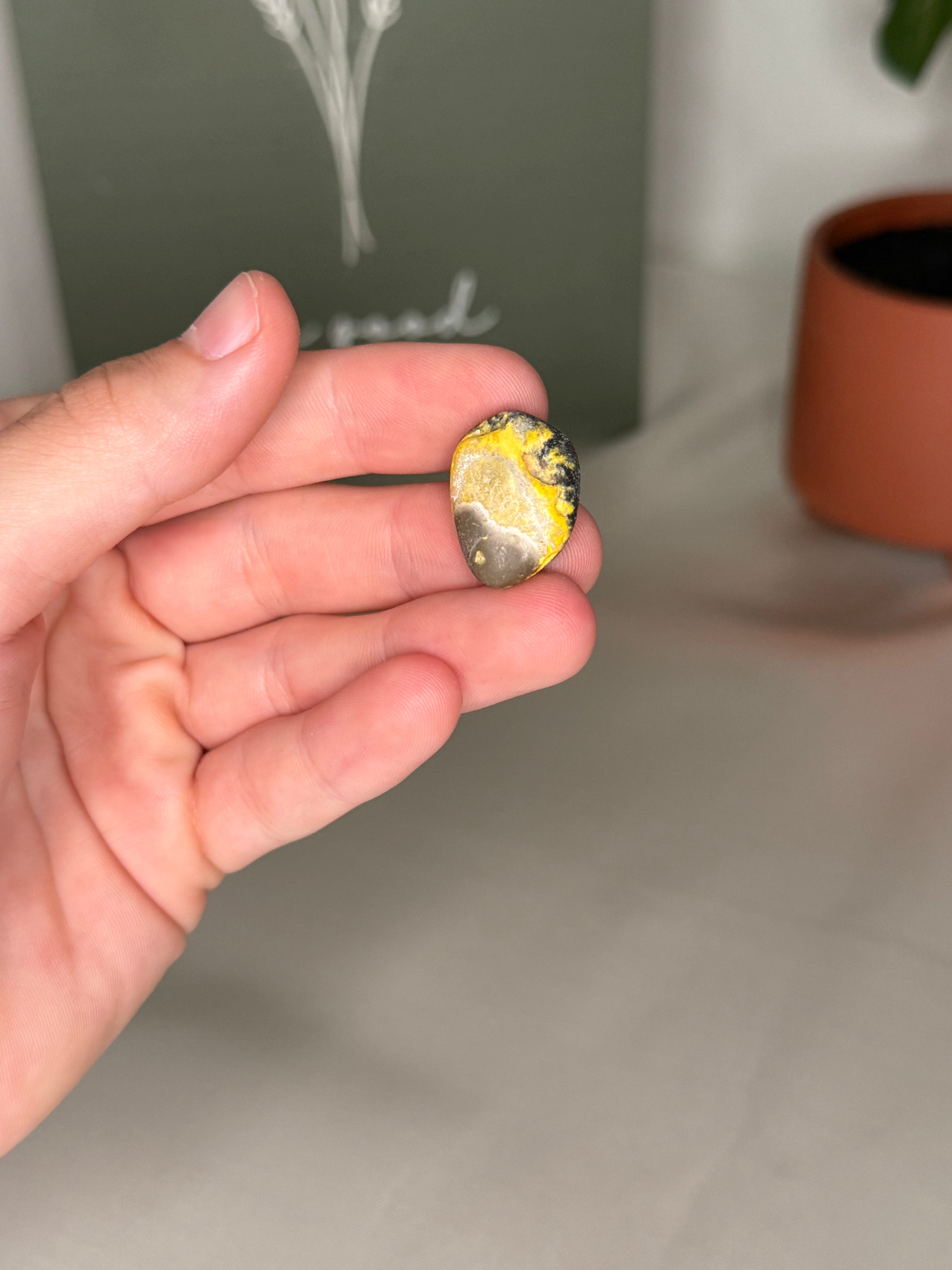 Bumblebee jasper tumble