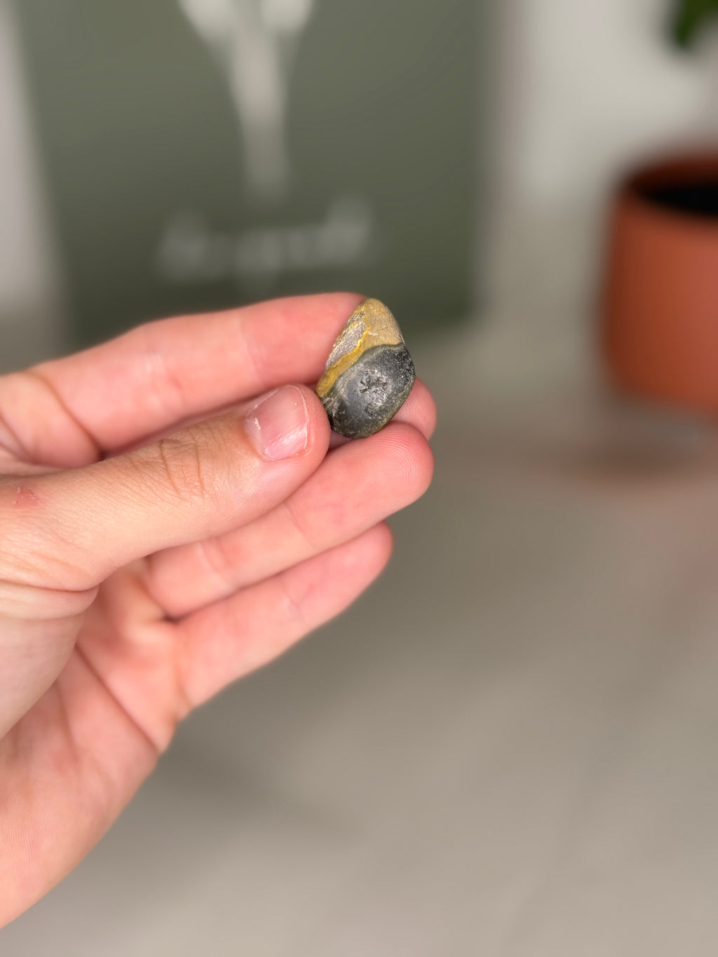 Bumblebee jasper tumble