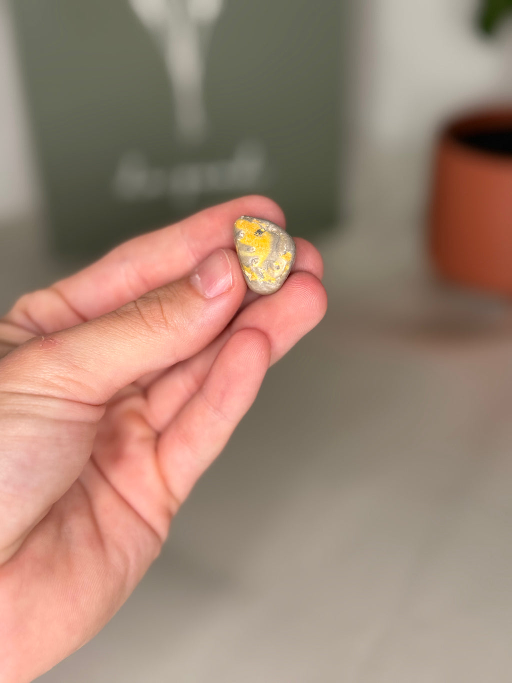 Bumblebee jasper tumble
