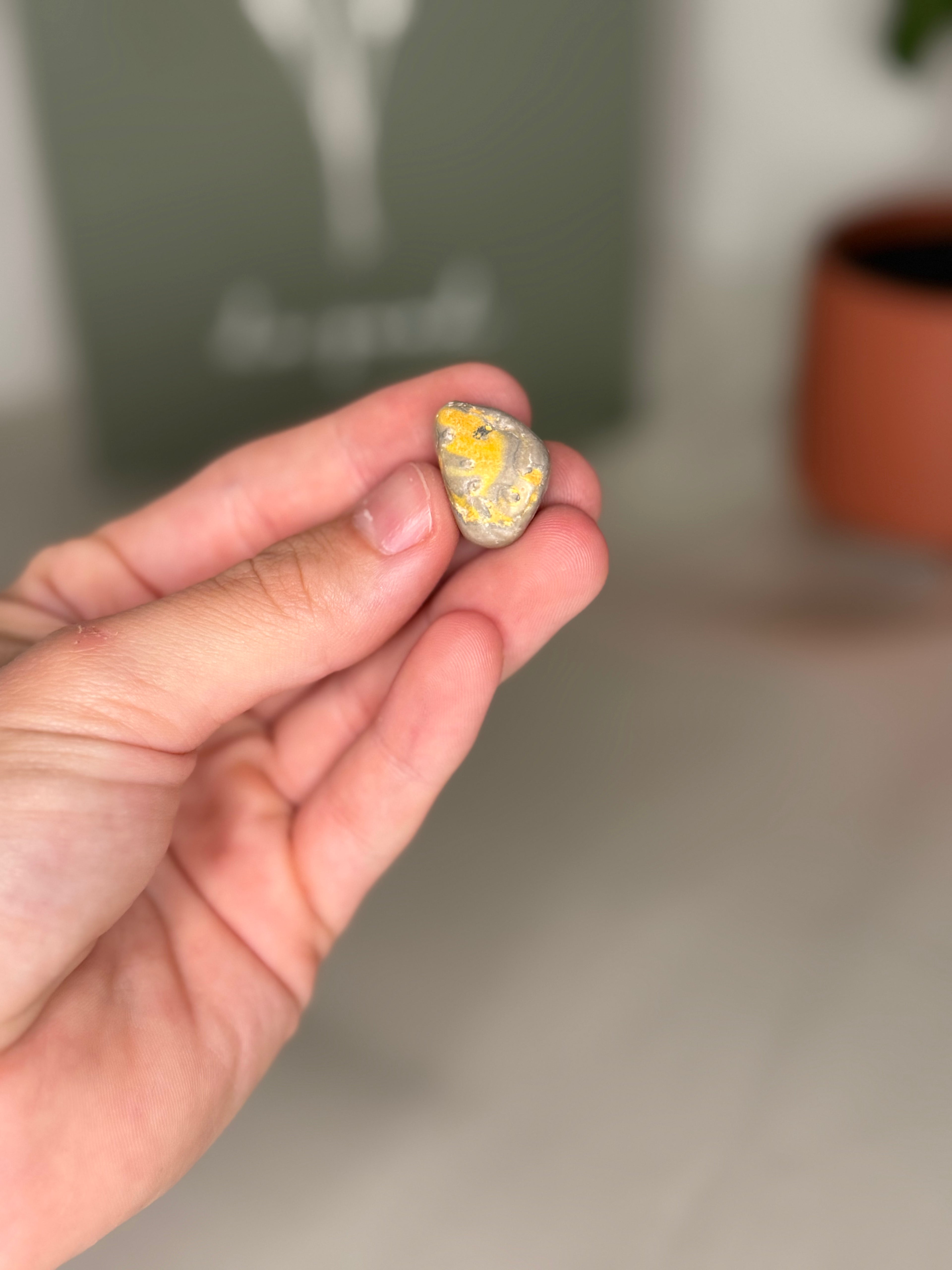 Bumblebee jasper tumble
