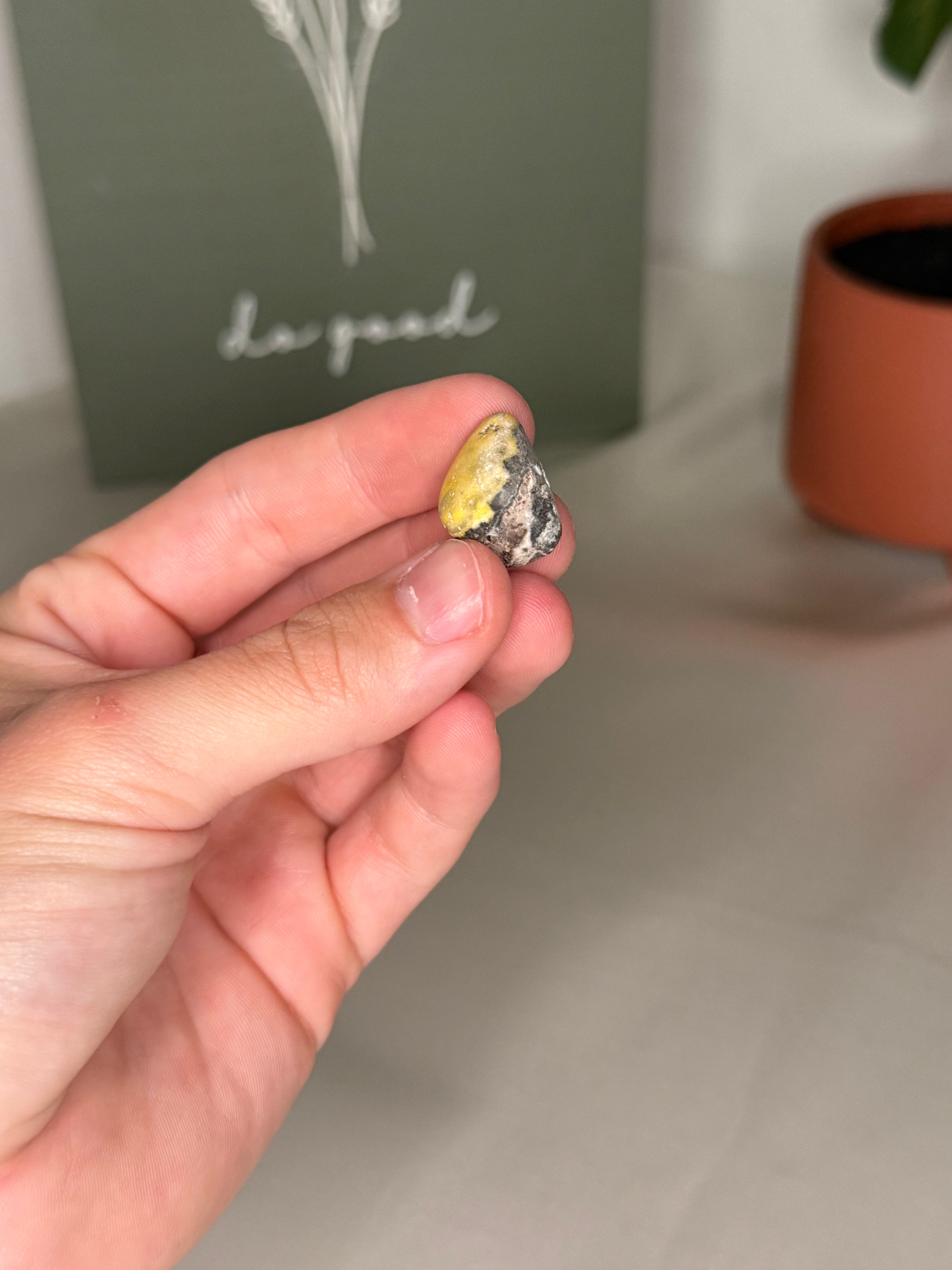 Bumblebee jasper tumble