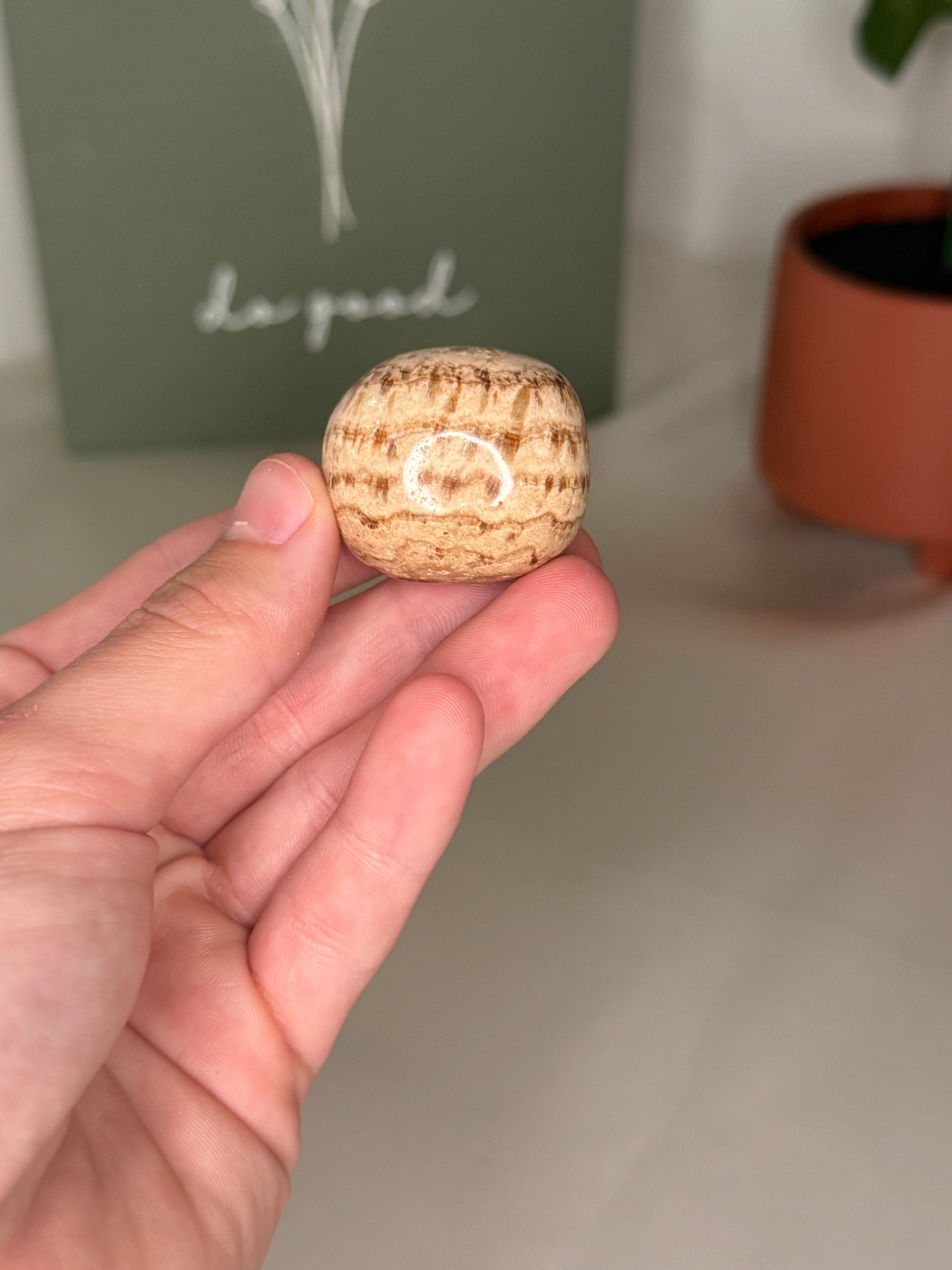 Aragonite tumble