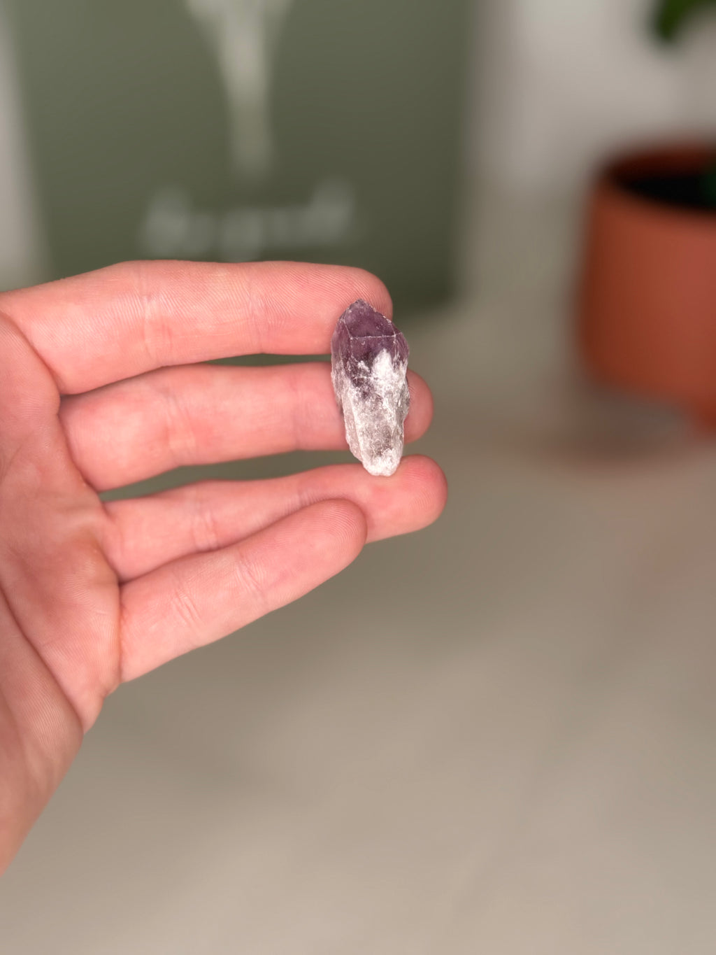 Amethyst root