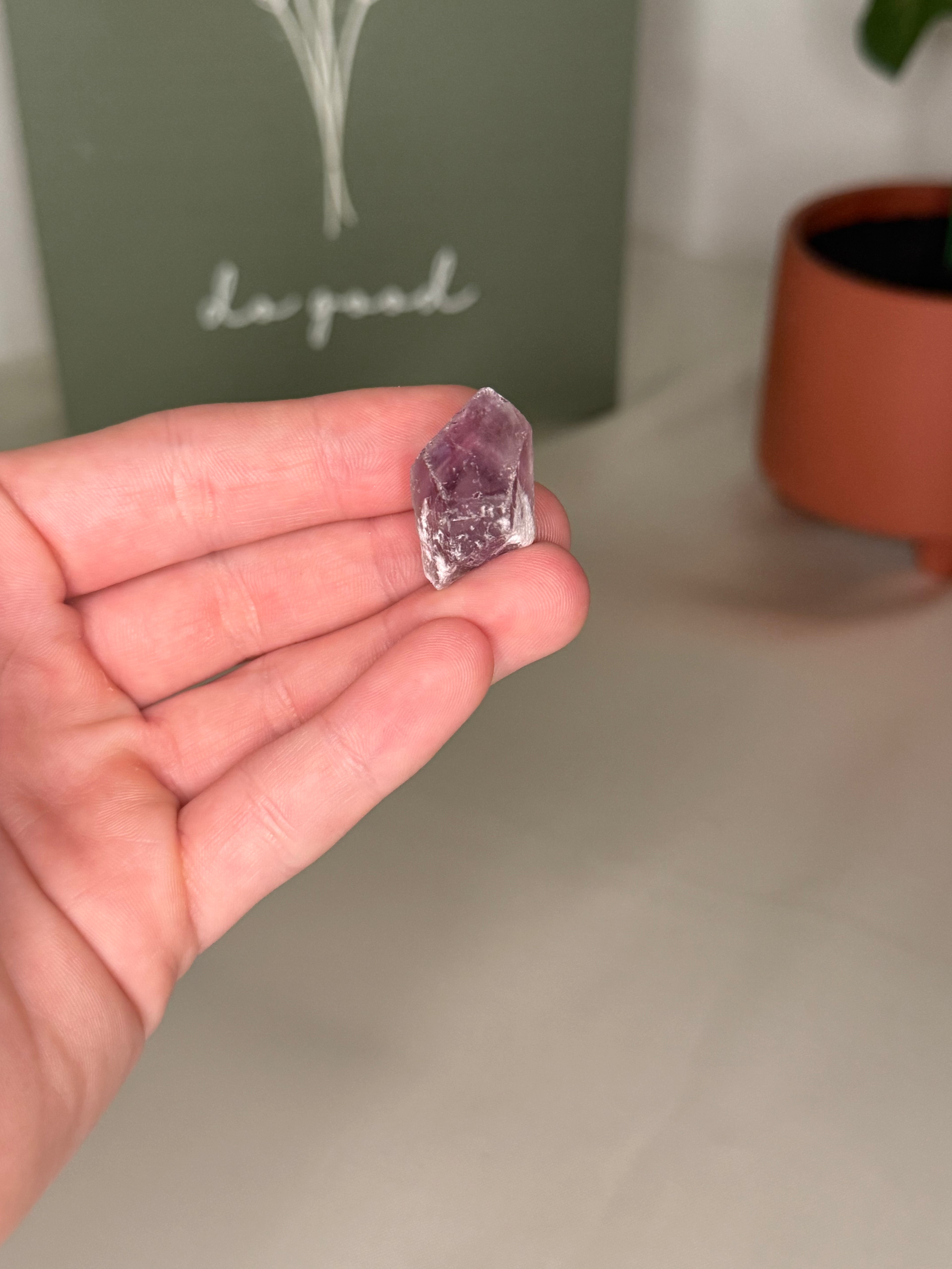 Amethyst root