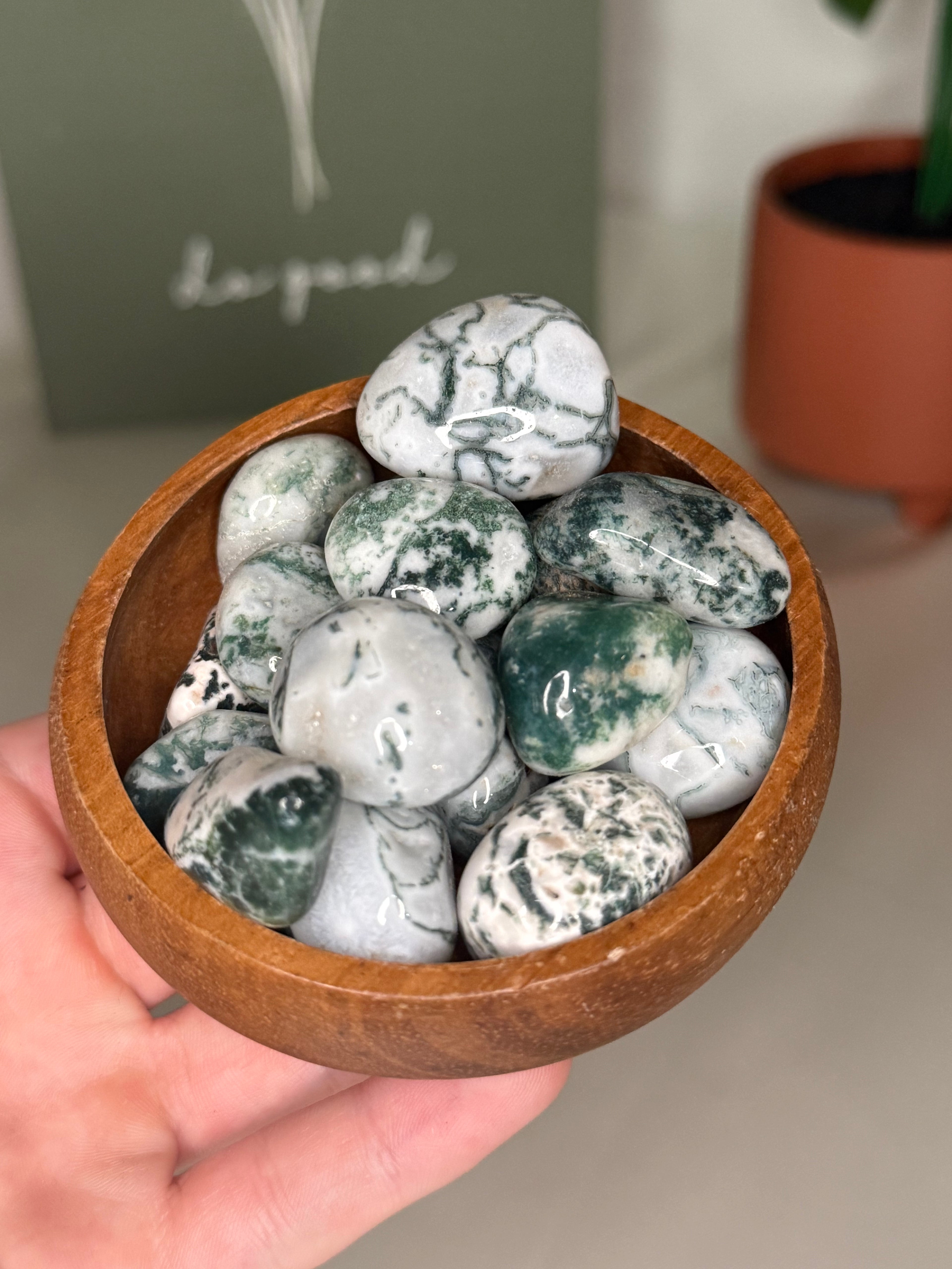 Tree agate tumble