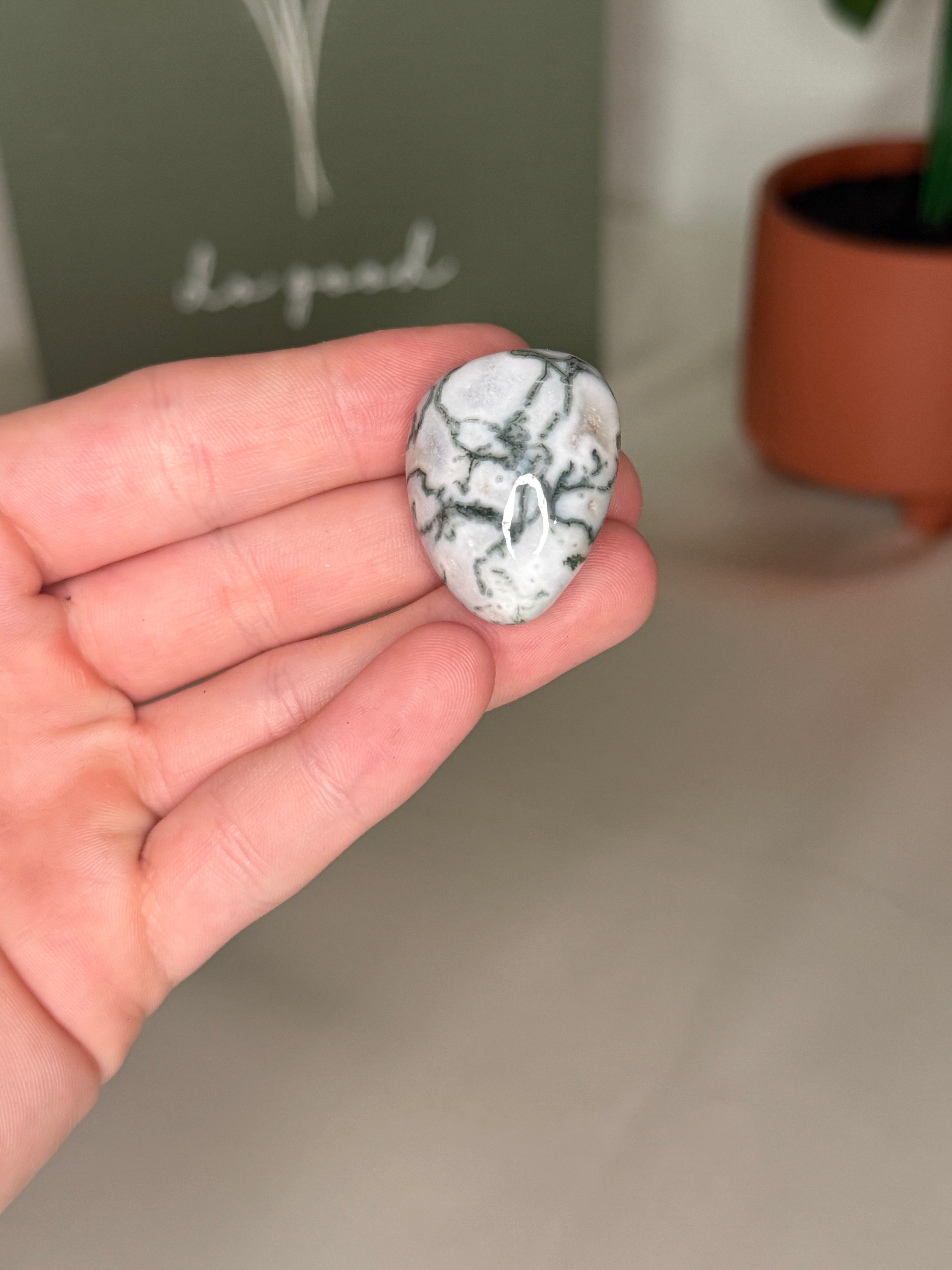 Tree agate tumble