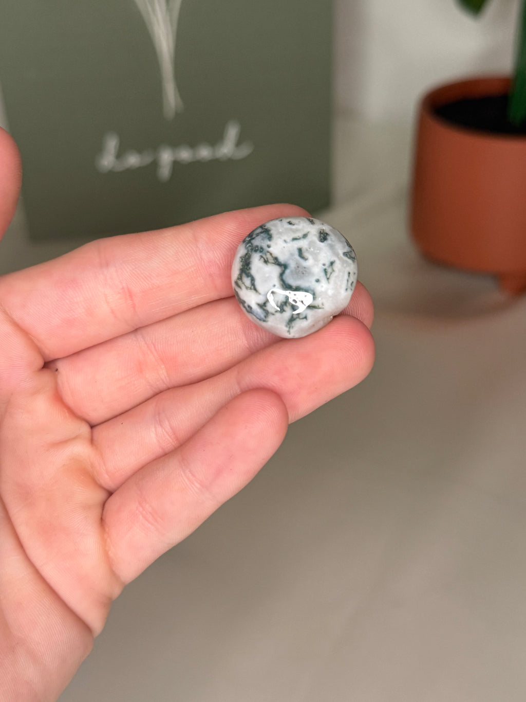 Tree agate tumble