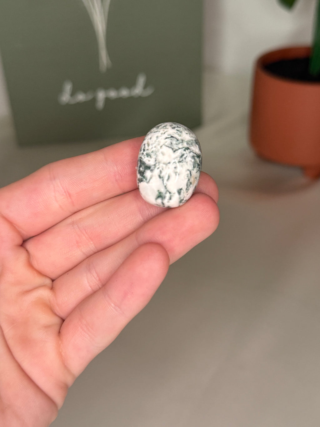 Tree agate tumble