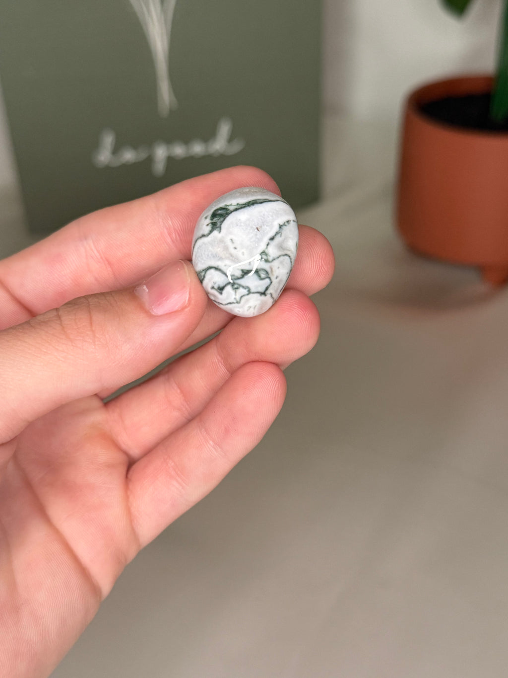 Tree agate tumble
