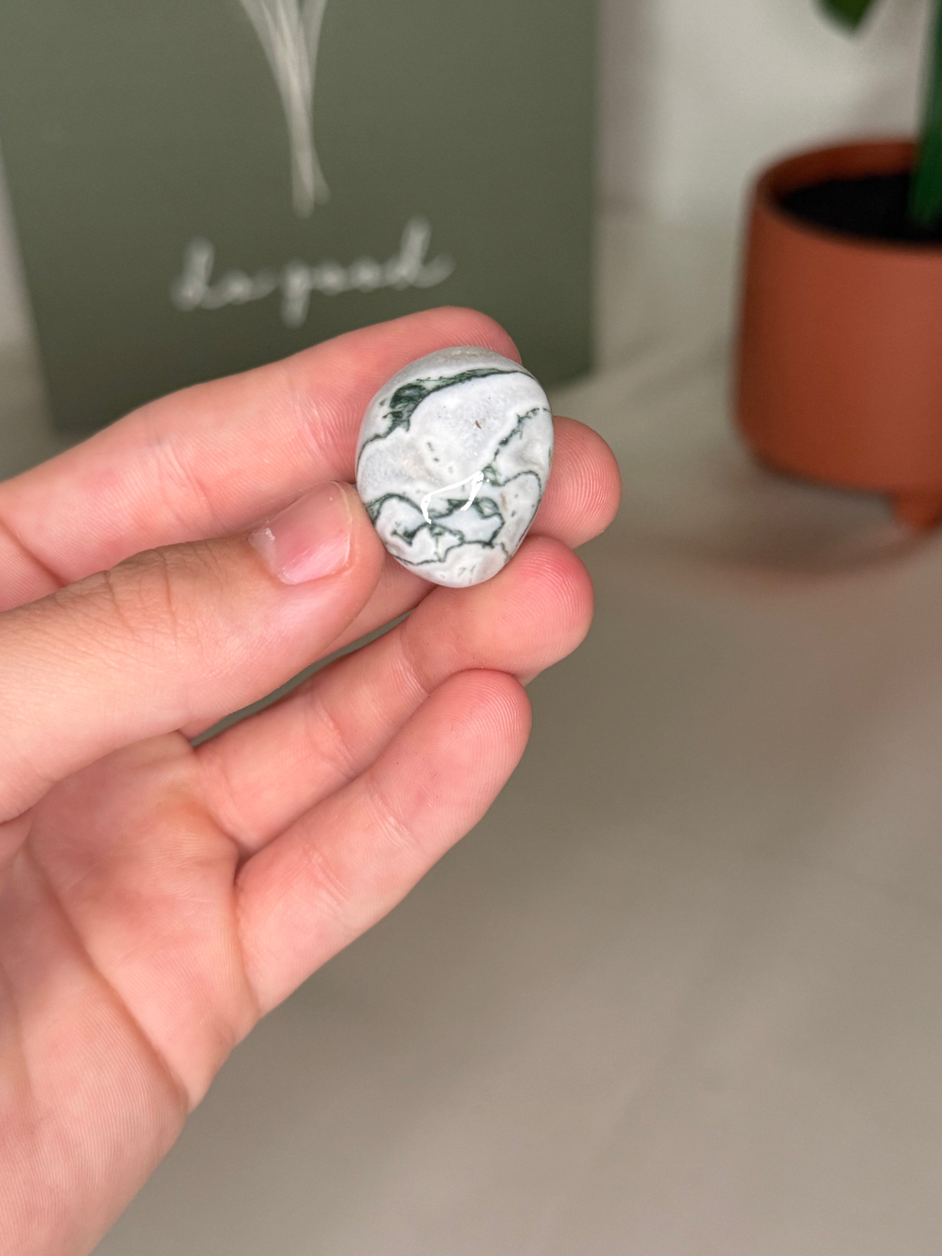 Tree agate tumble