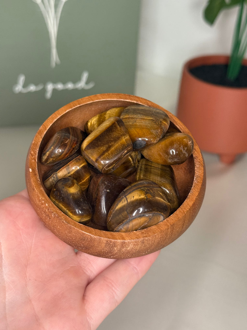 Tigers eye tumble