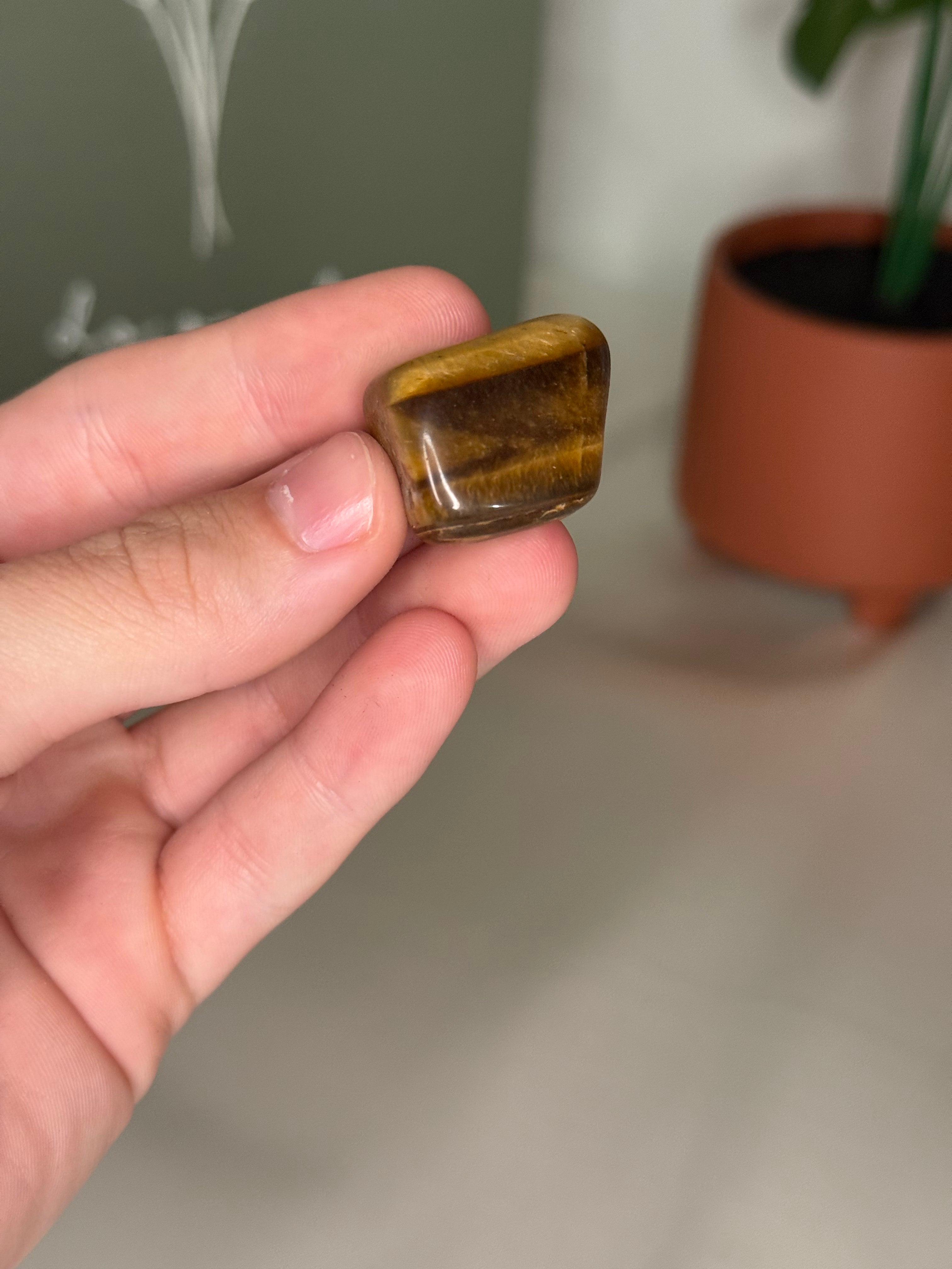Tigers eye tumble