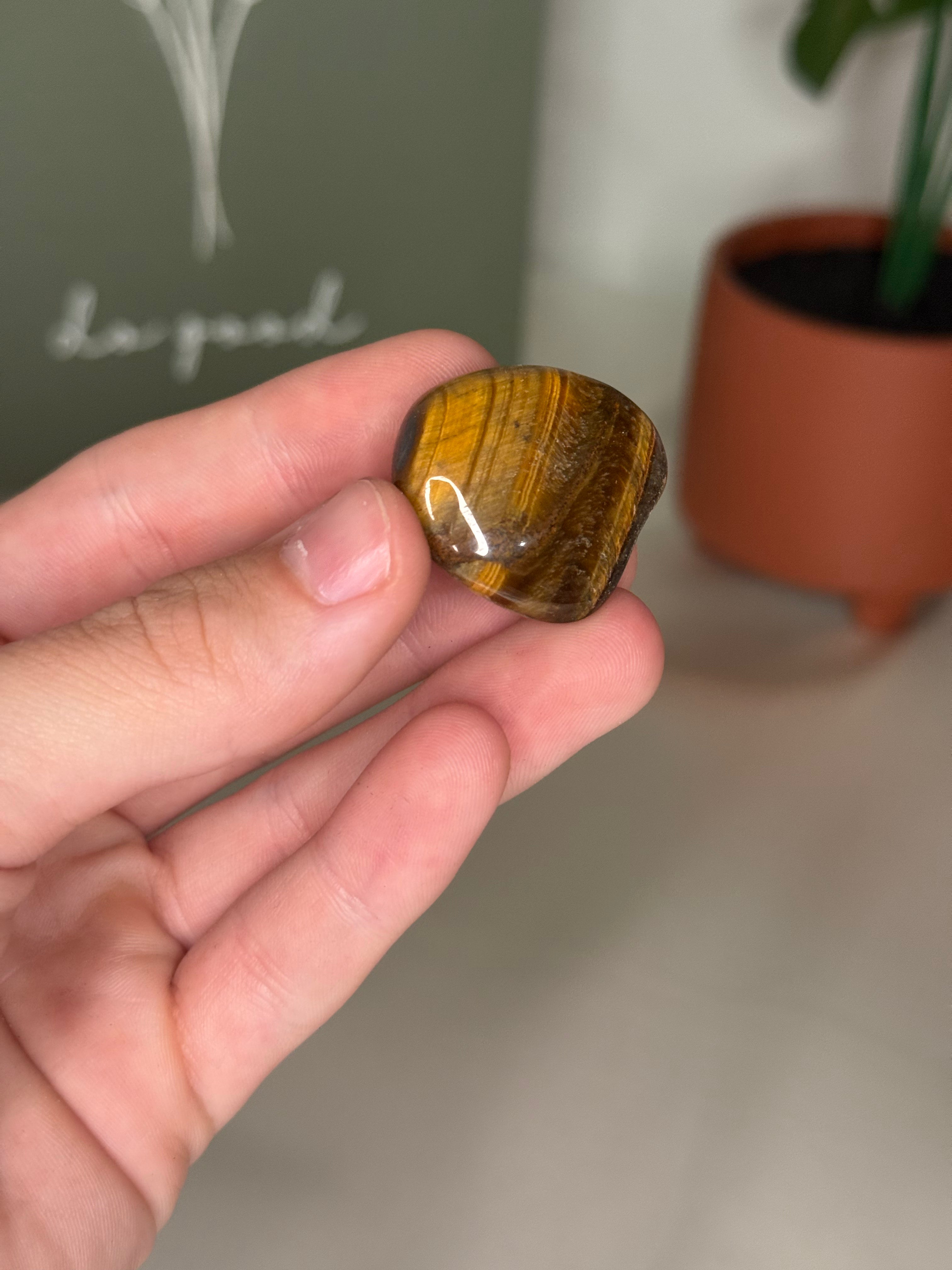 Tigers eye tumble