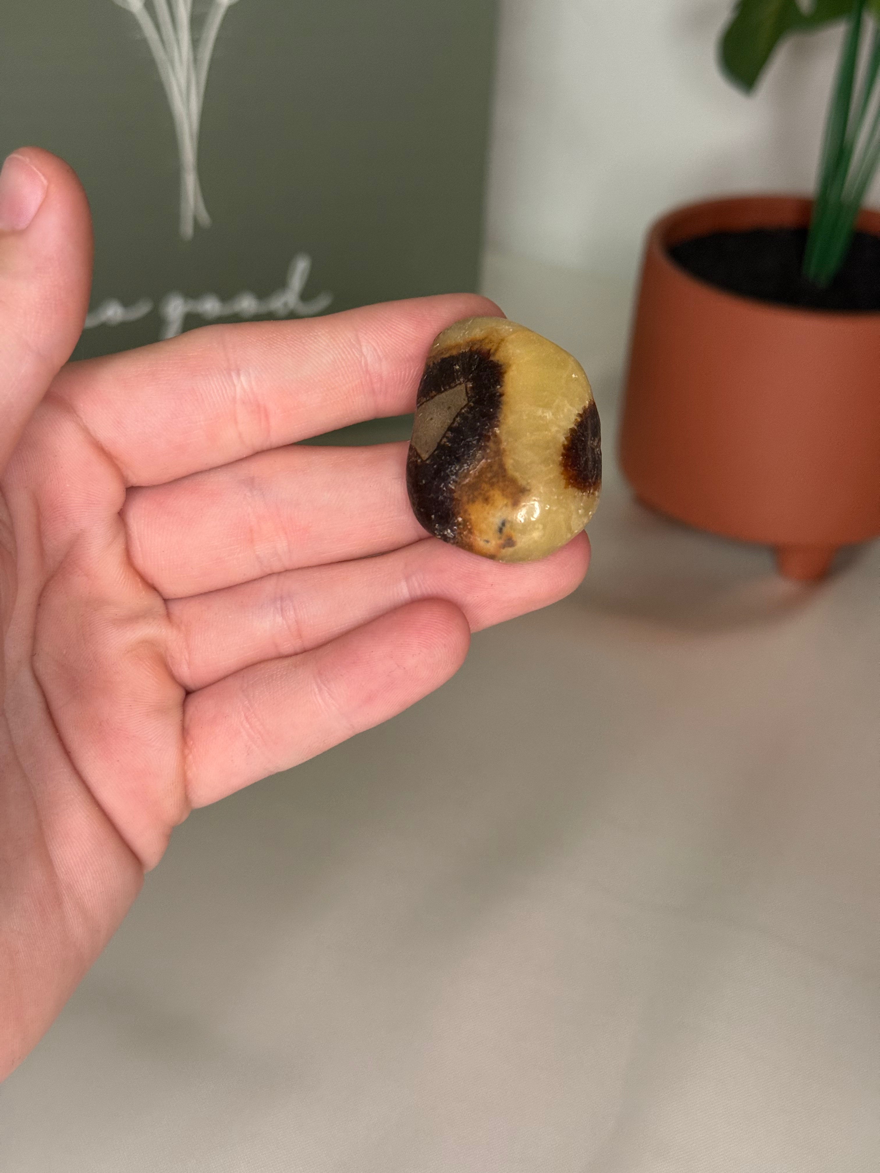 Septarian tumble (uv reactive)