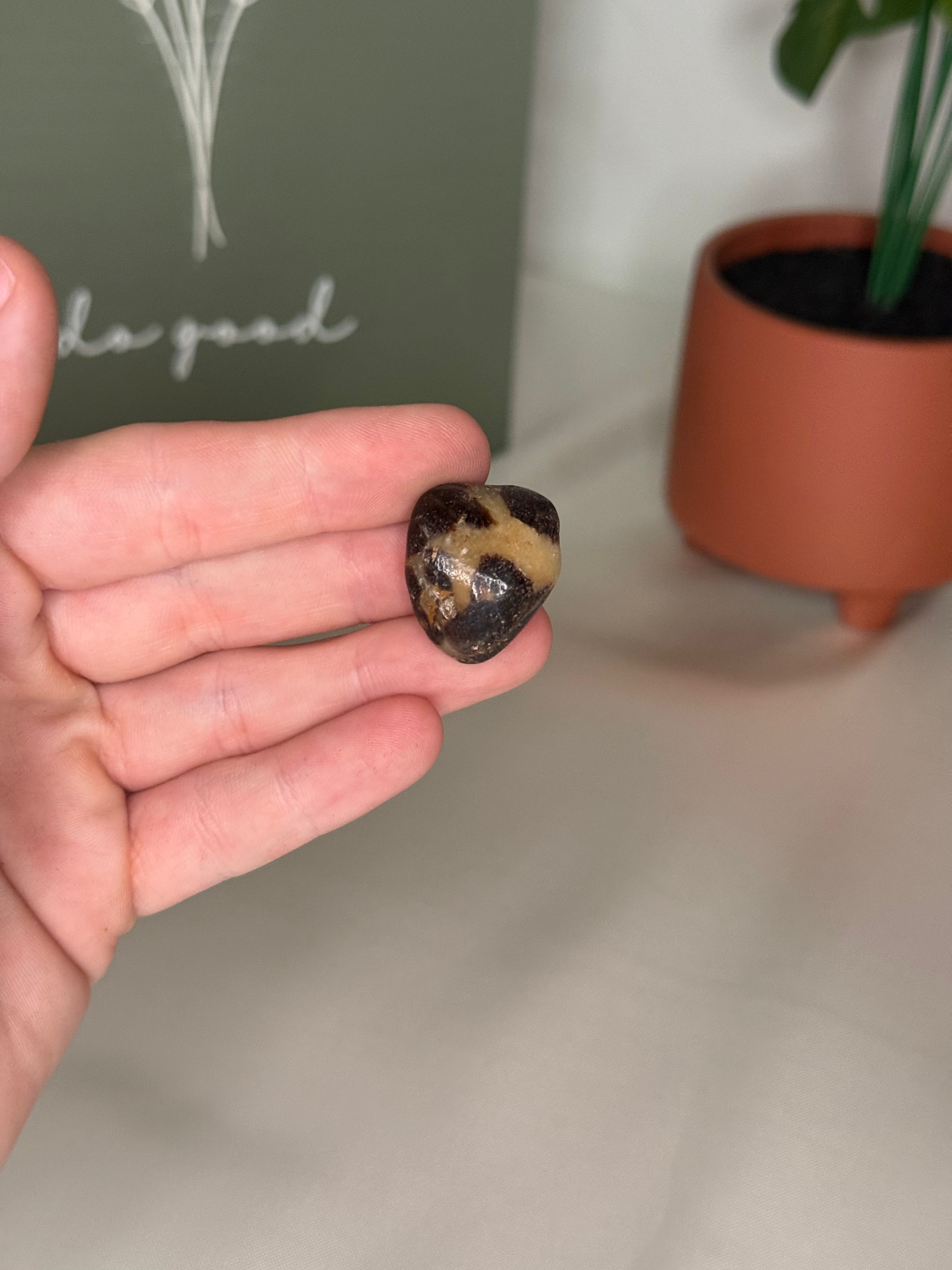 Small septarian tumble (uv reactive)