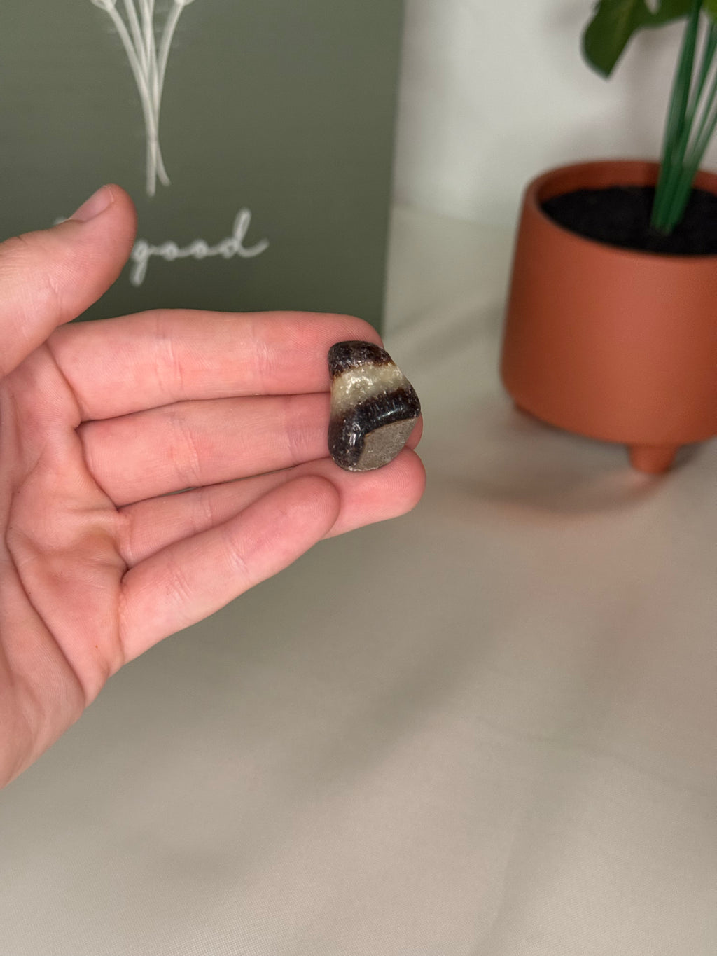 Small septarian tumble (uv reactive)
