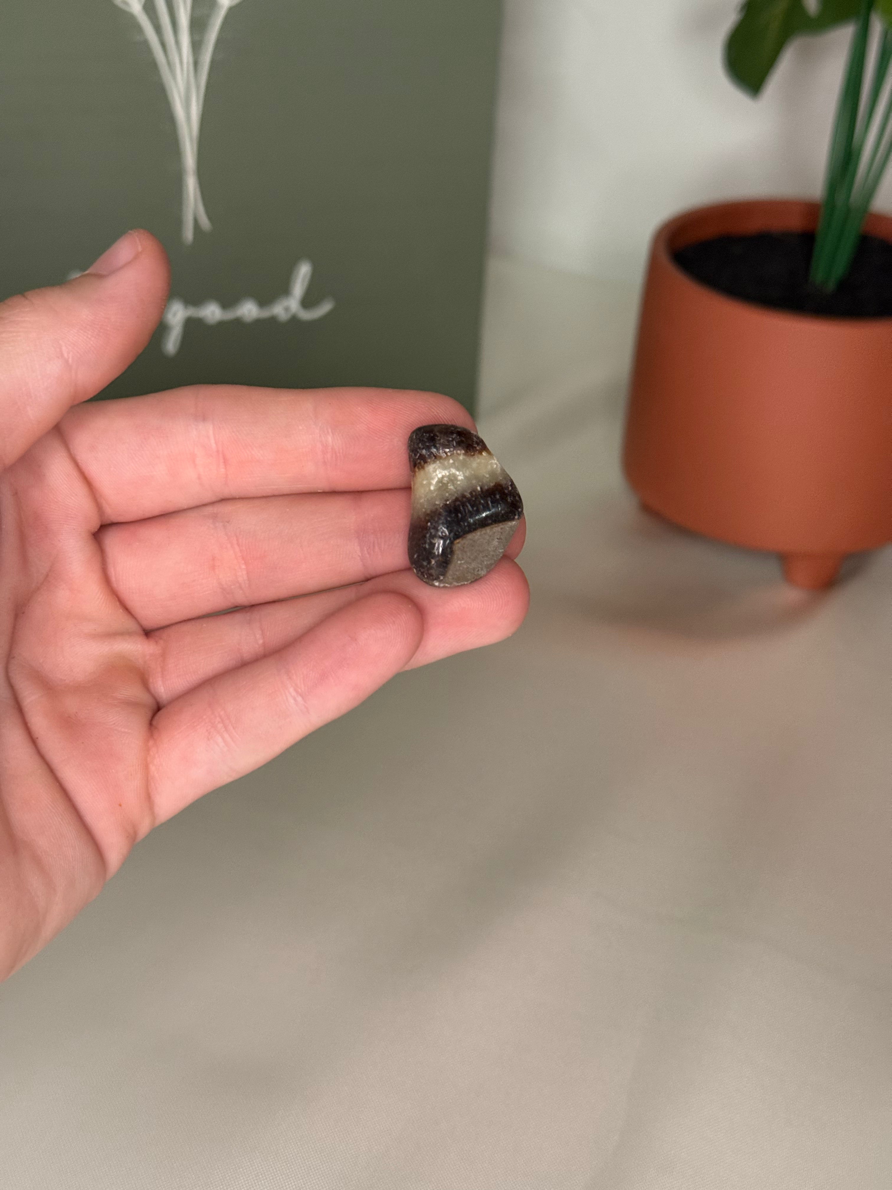 Small septarian tumble (uv reactive)