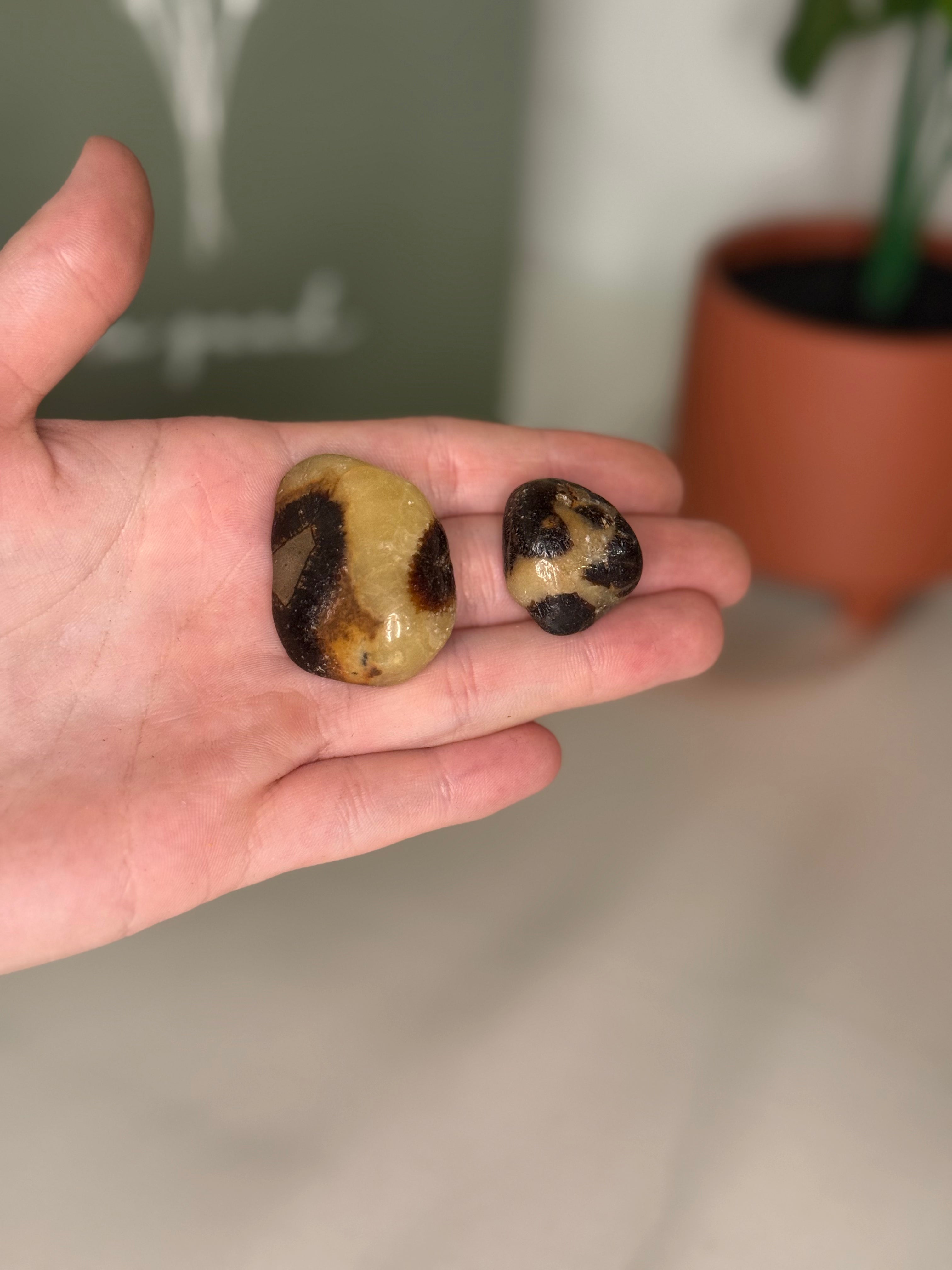 Small septarian tumble (uv reactive)