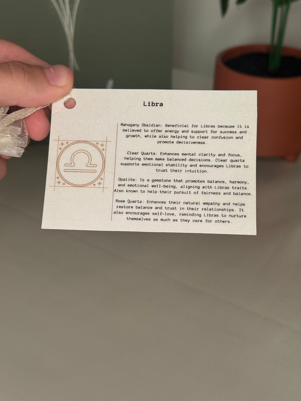 Libra grab bag