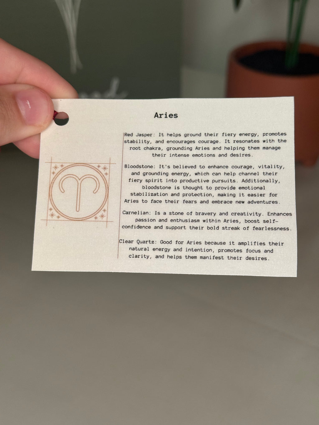 Aries grab bag