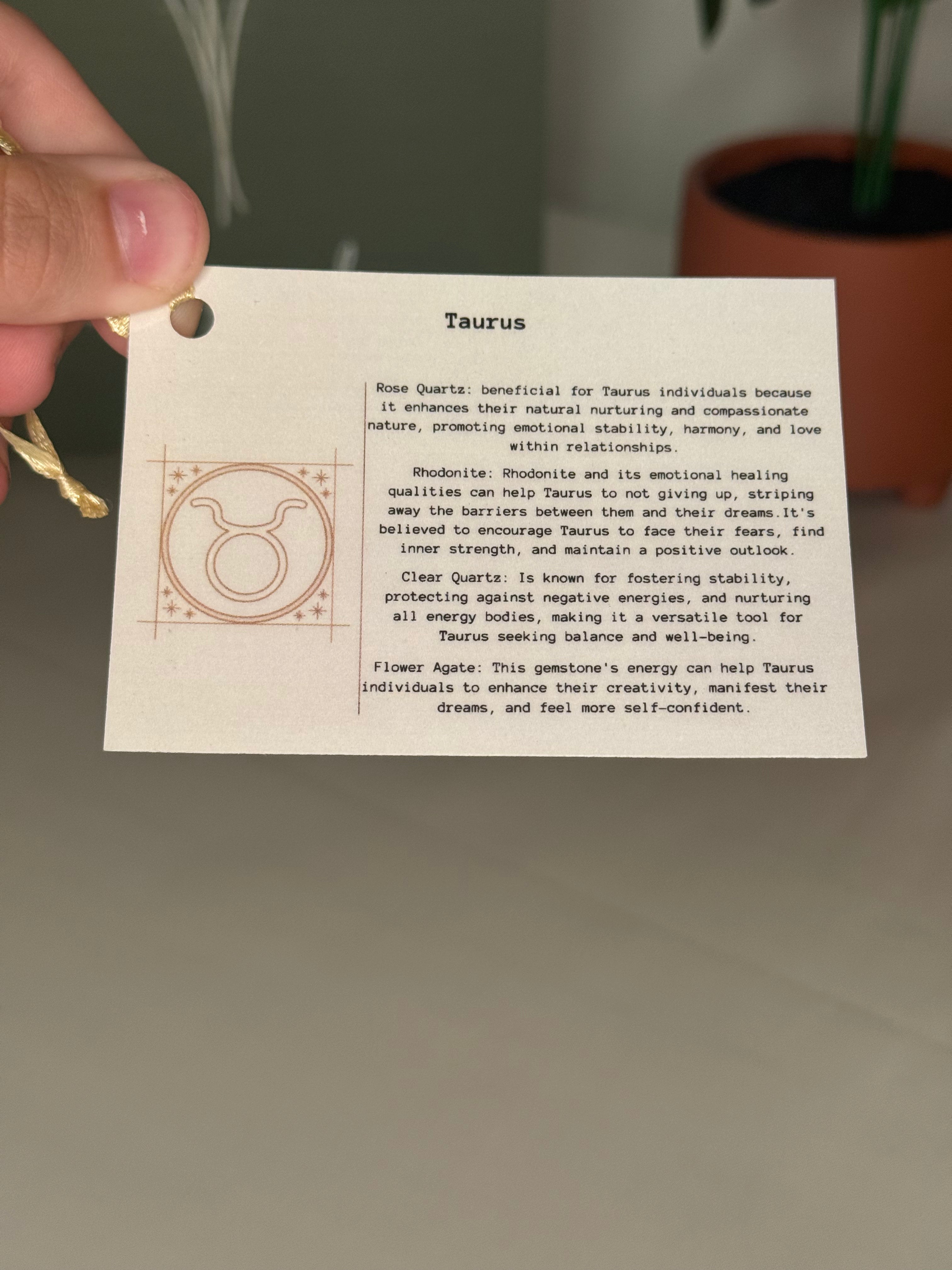 Taurus grab bag