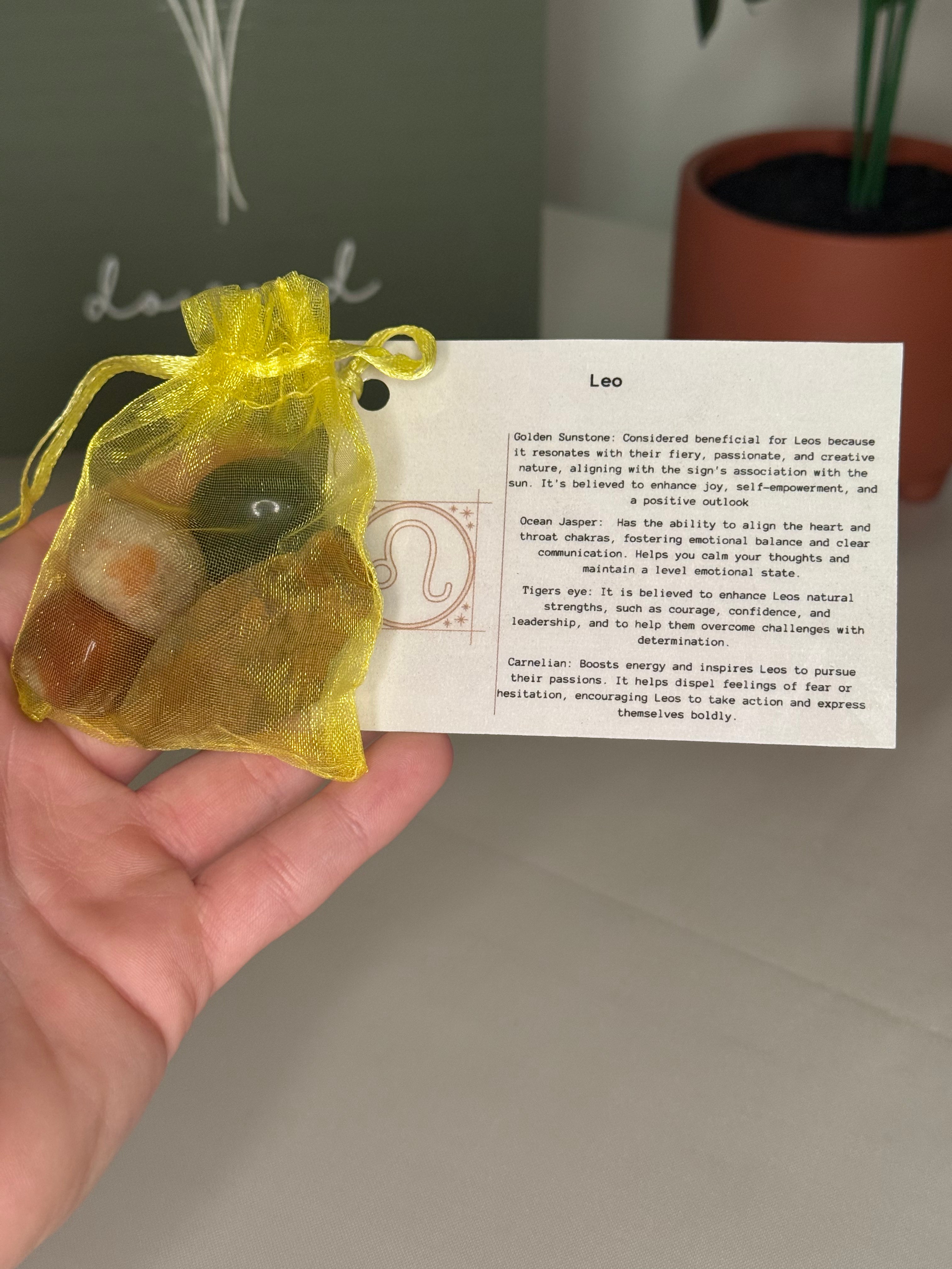 Leo grab bag