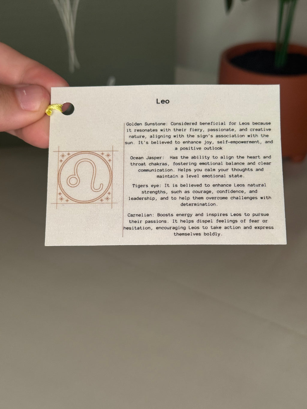 Leo grab bag