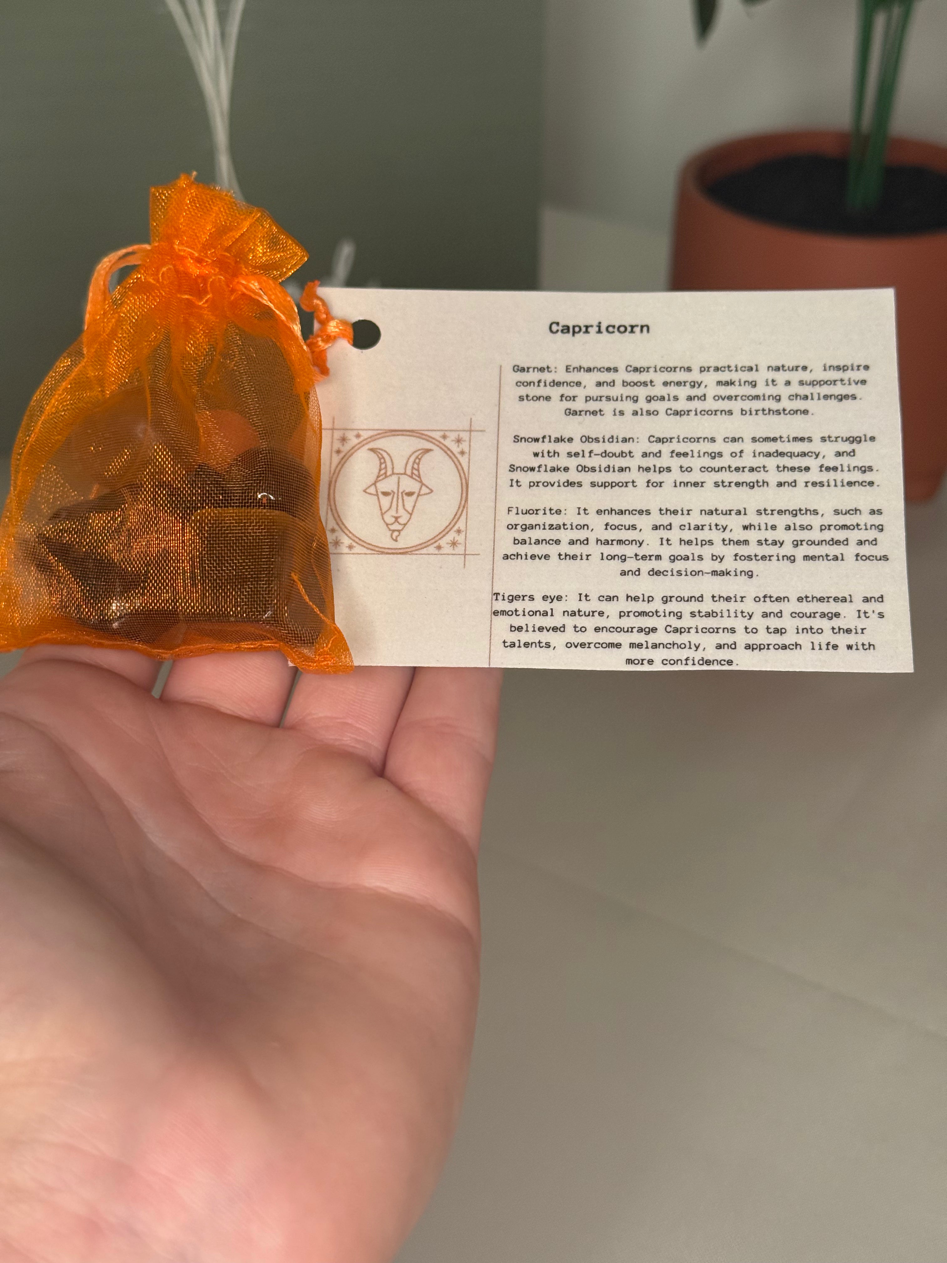 Capricorn grab bag