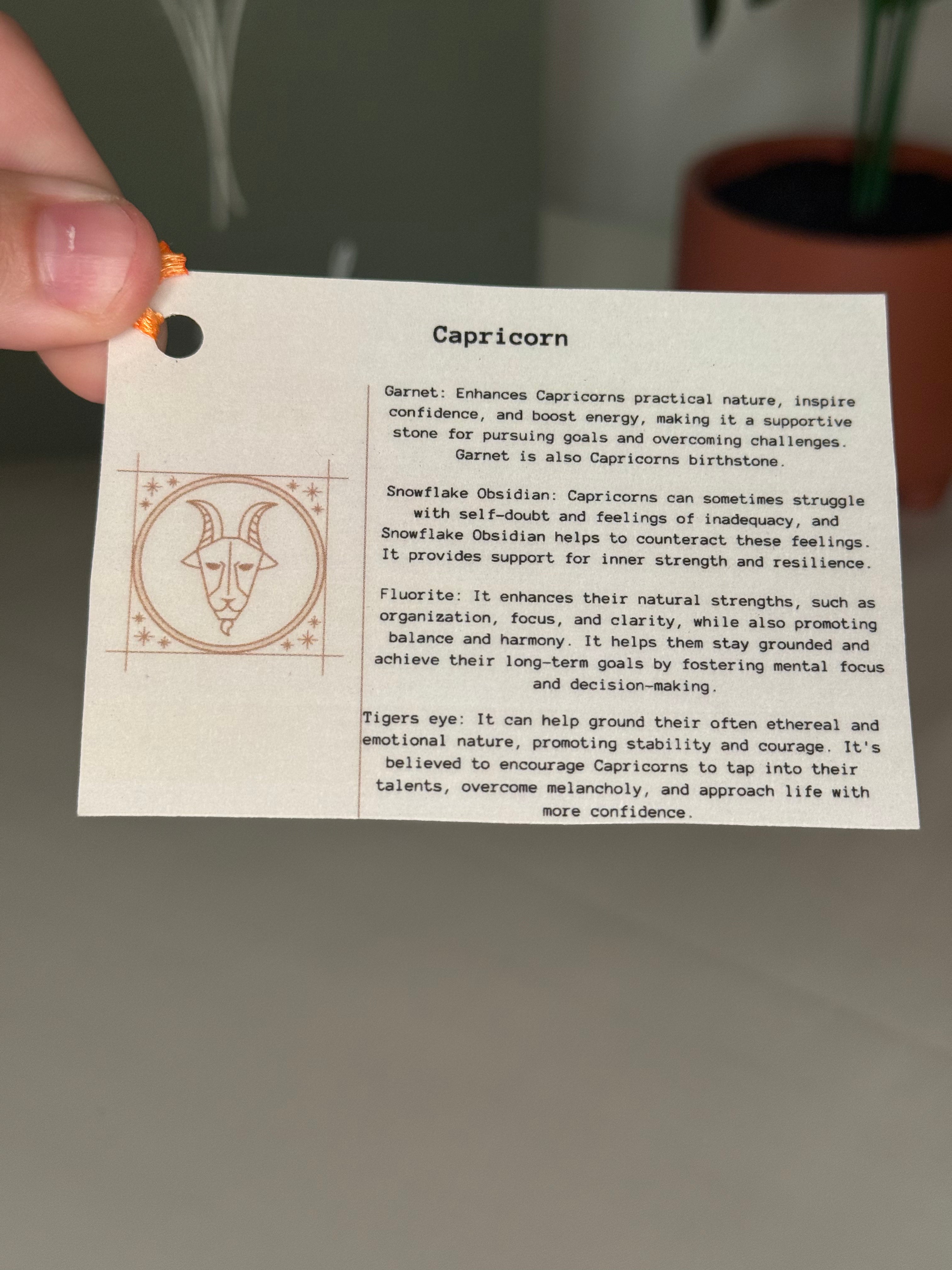 Capricorn grab bag