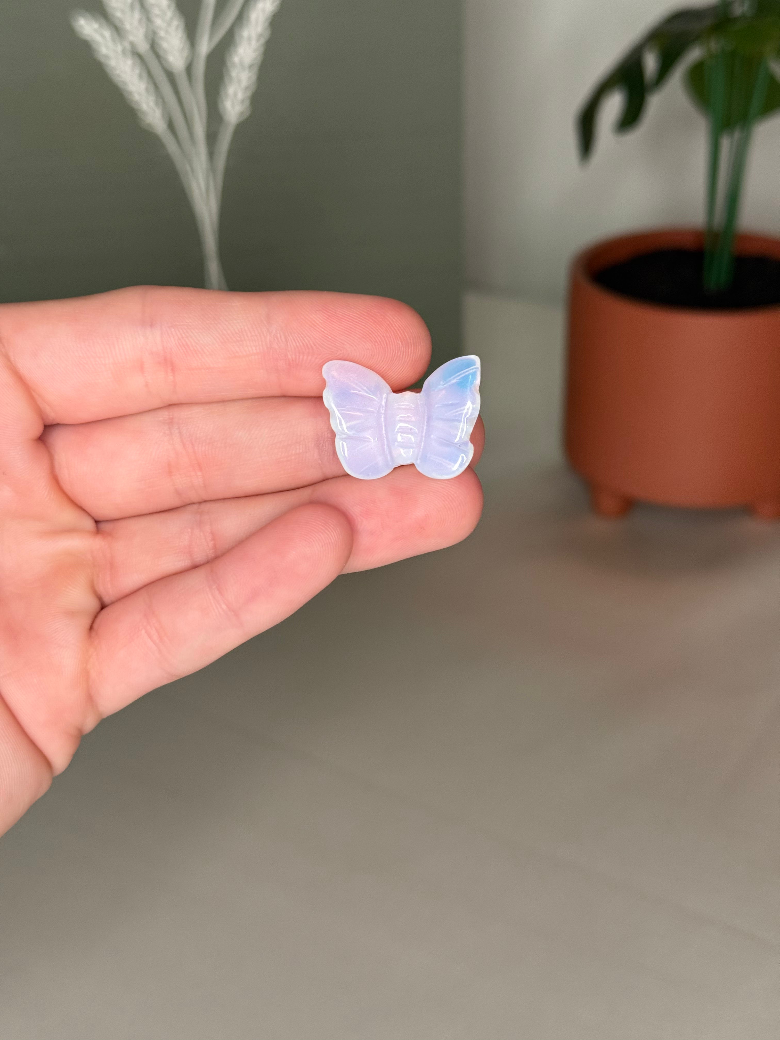 Mini butterflies