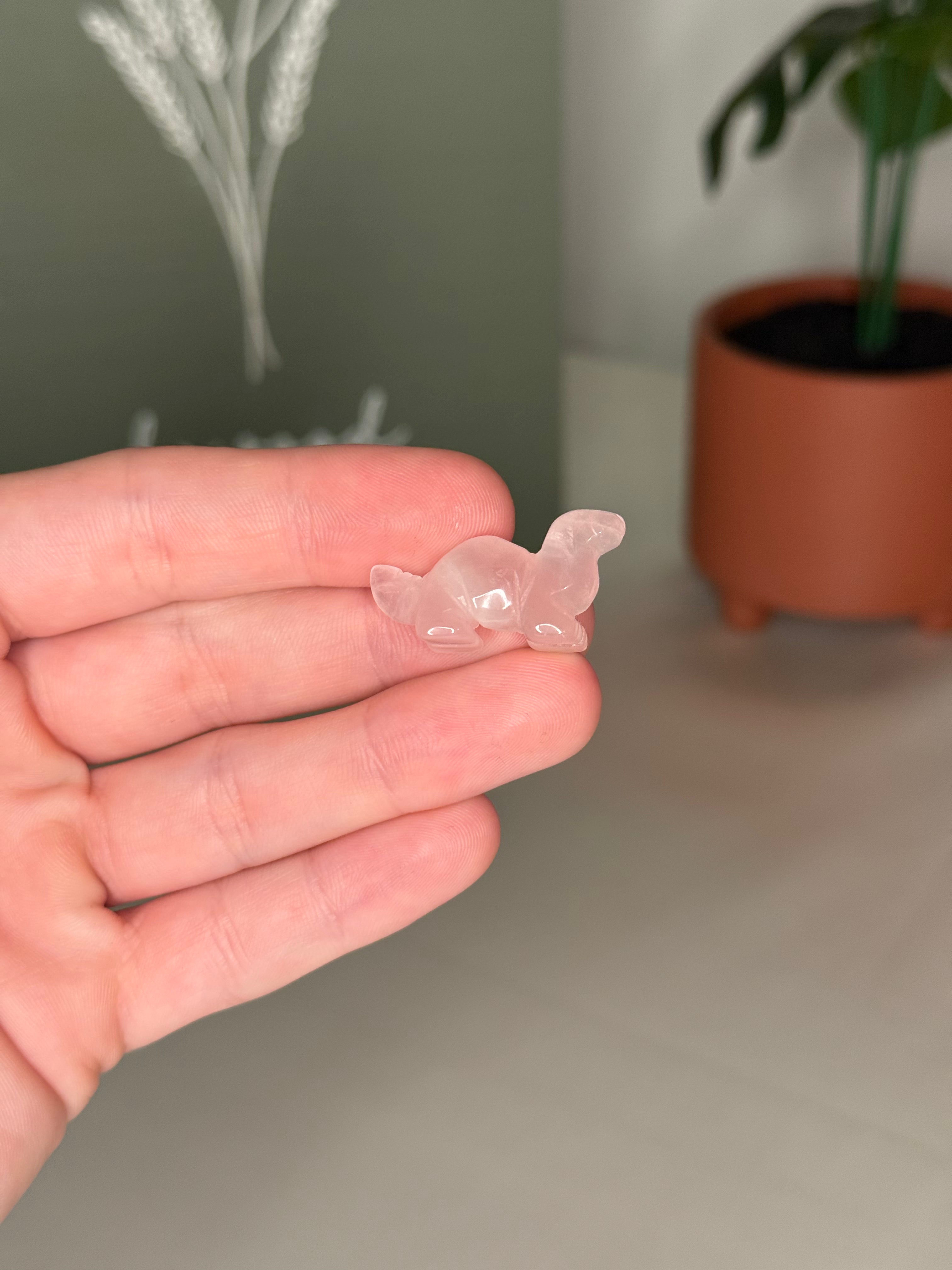 Mini dino