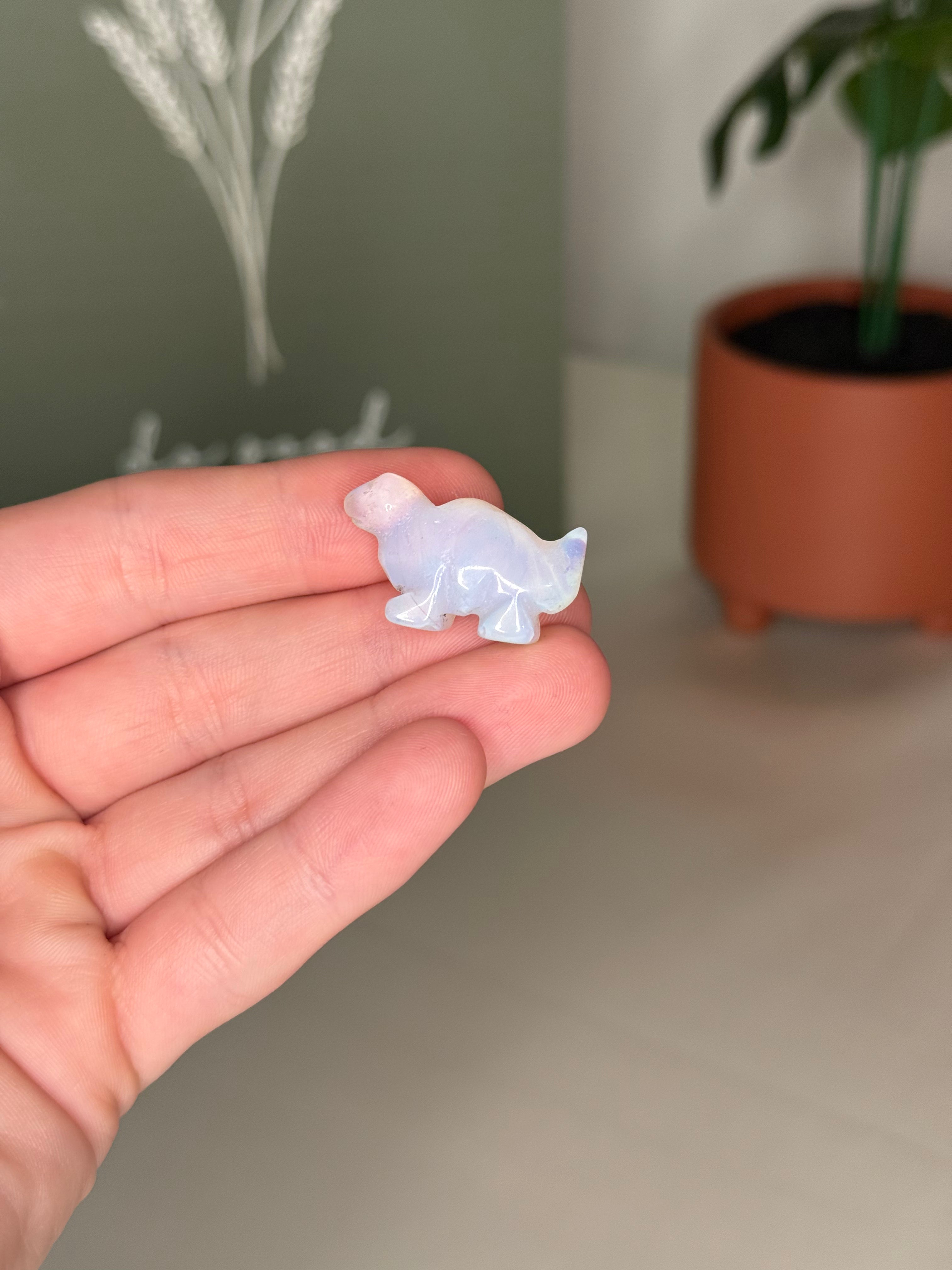 Mini dino