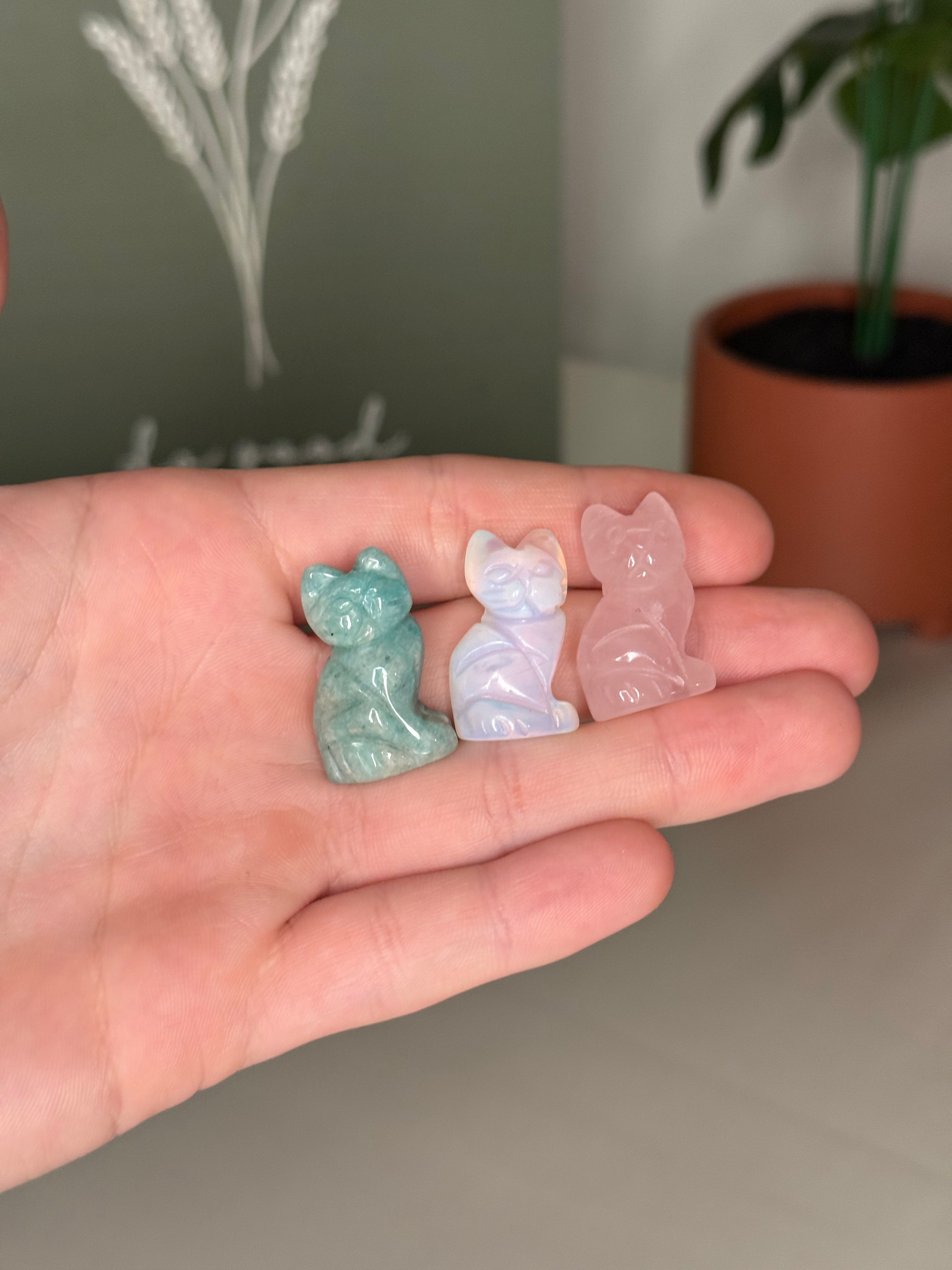 Mini kitty