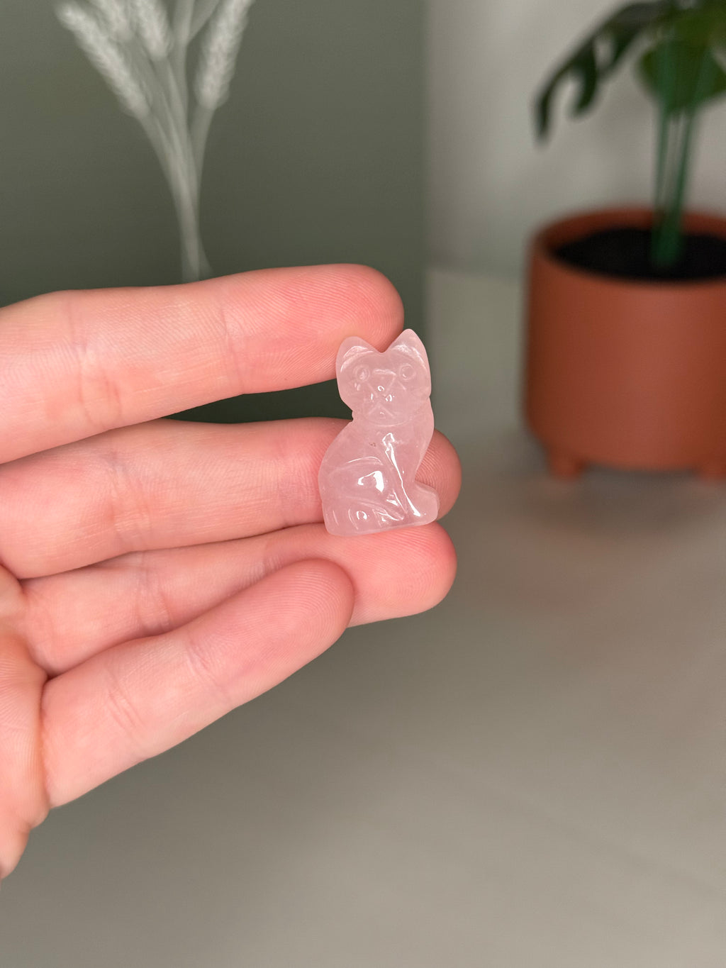 Mini kitty