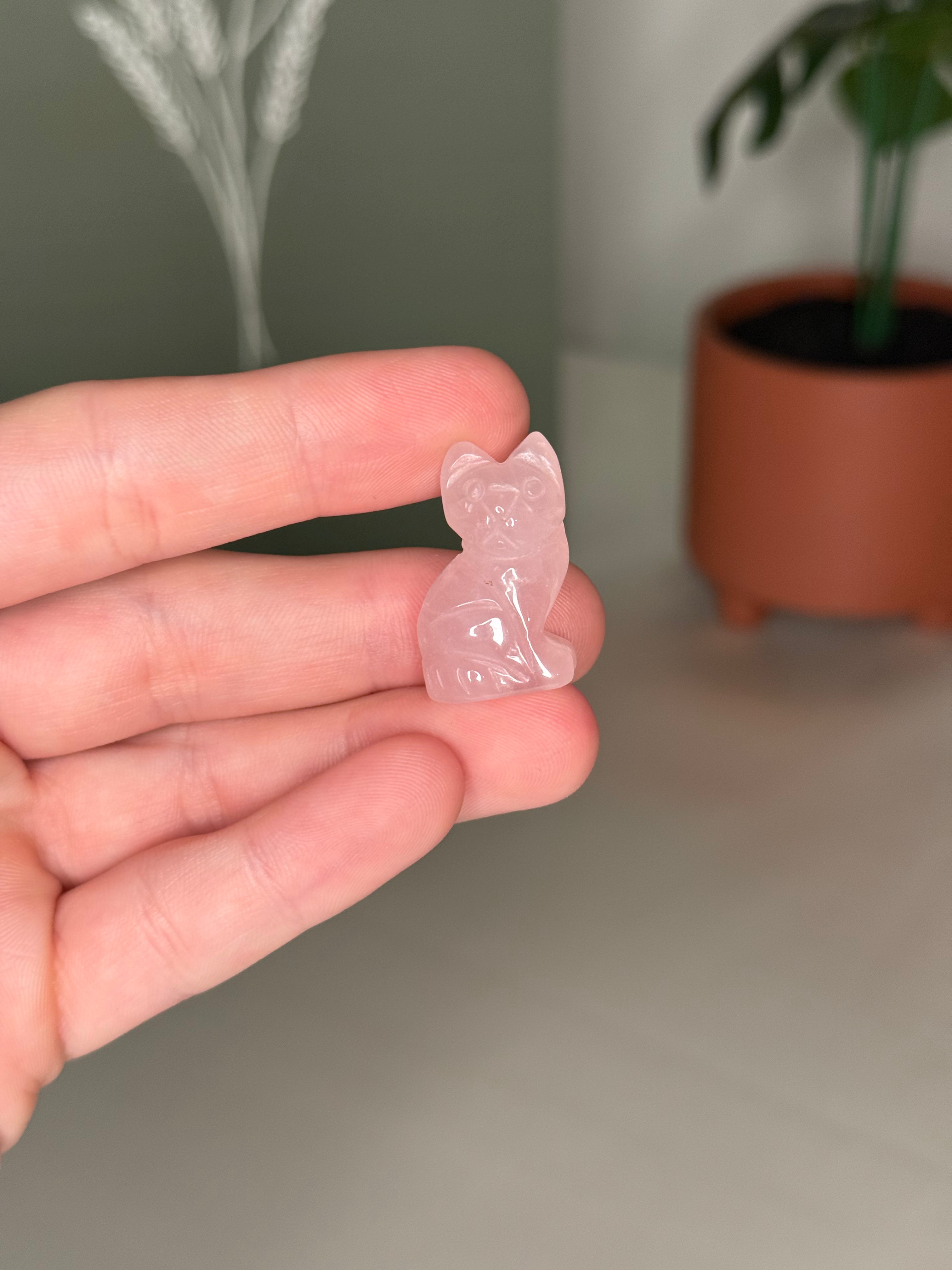 Mini kitty