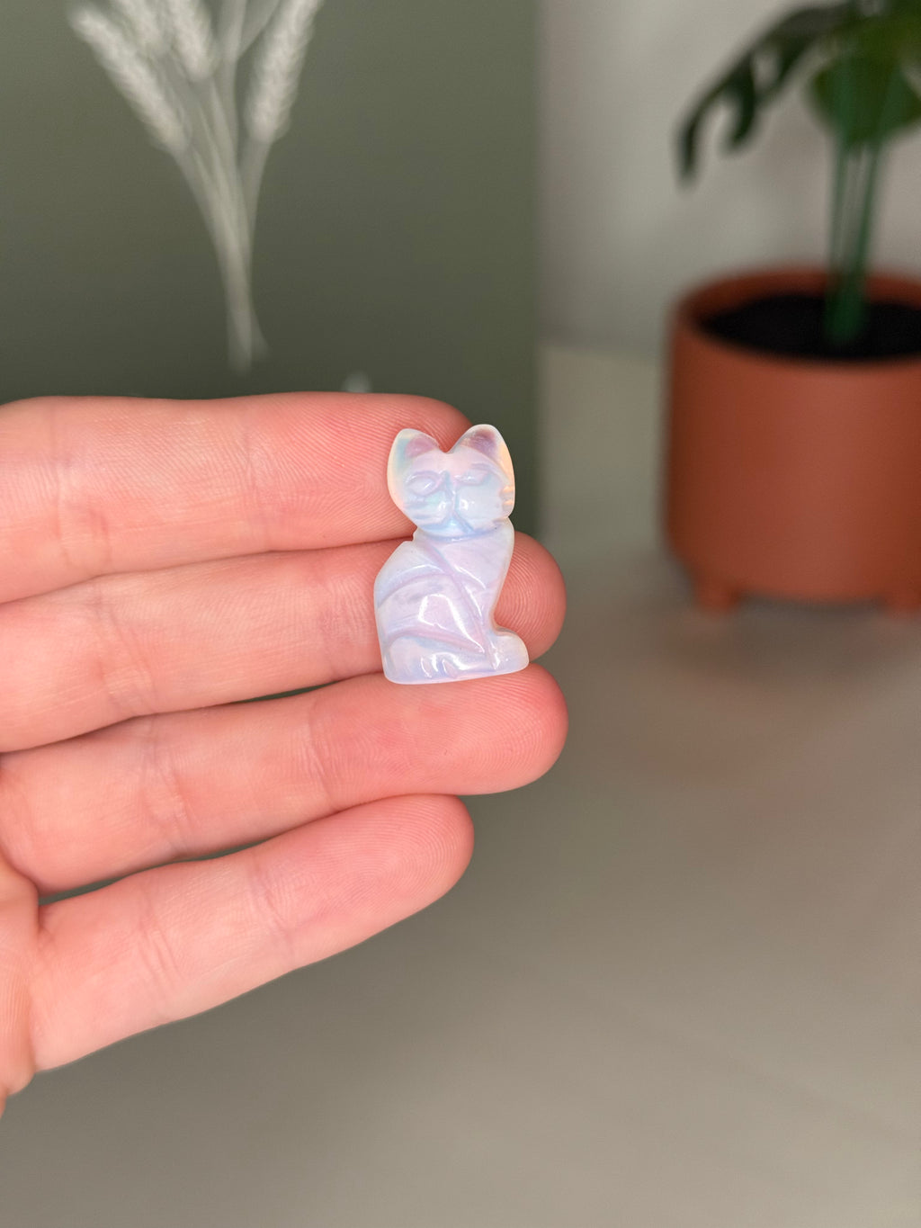 Mini kitty