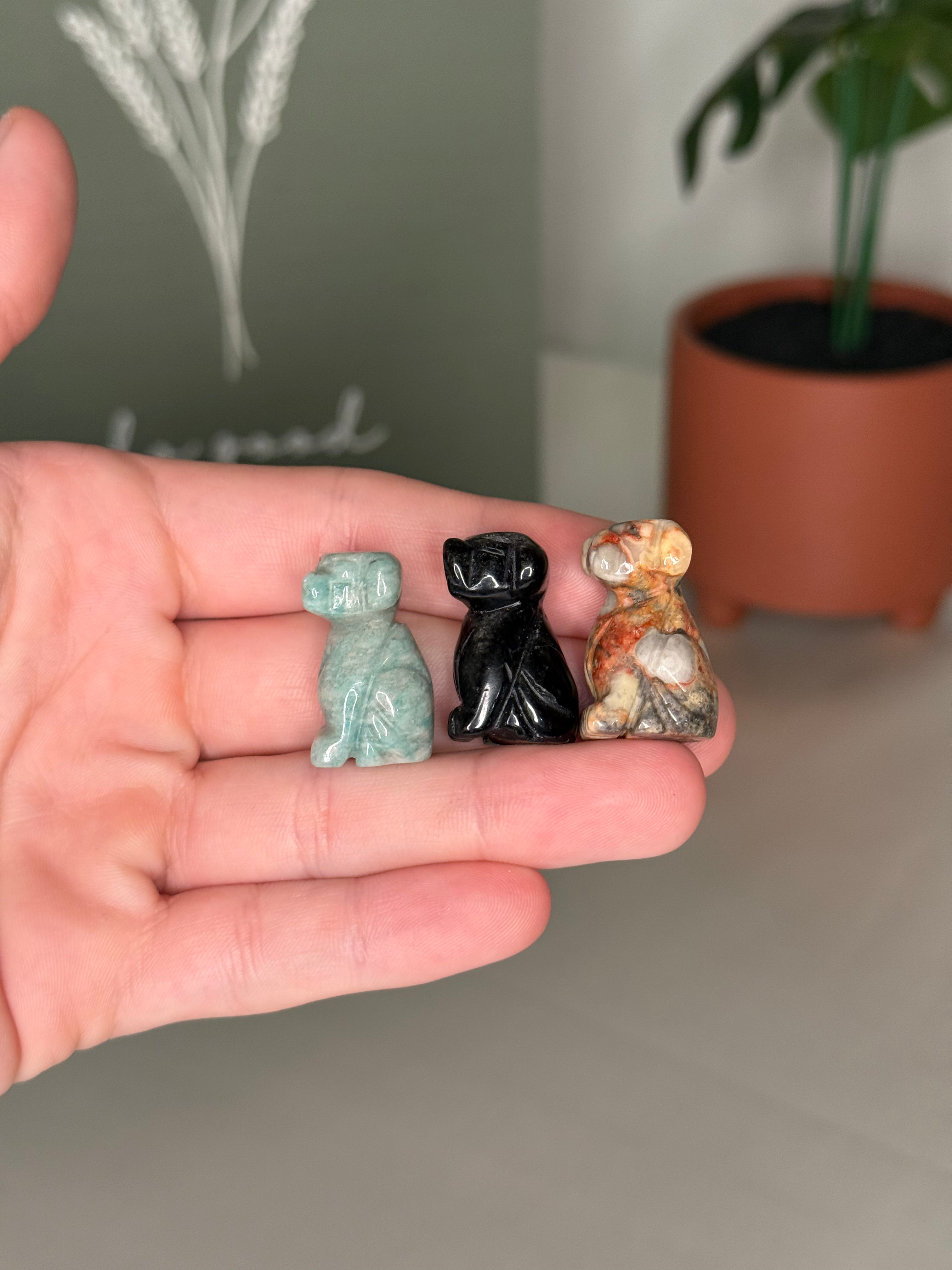 Mini dog