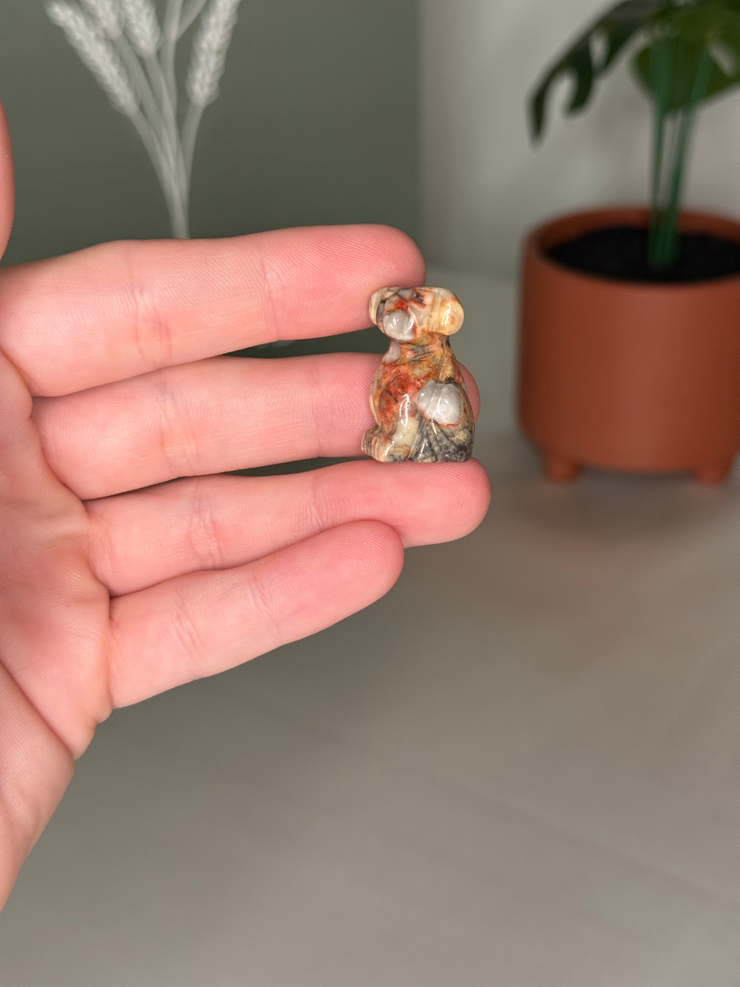 Mini dog